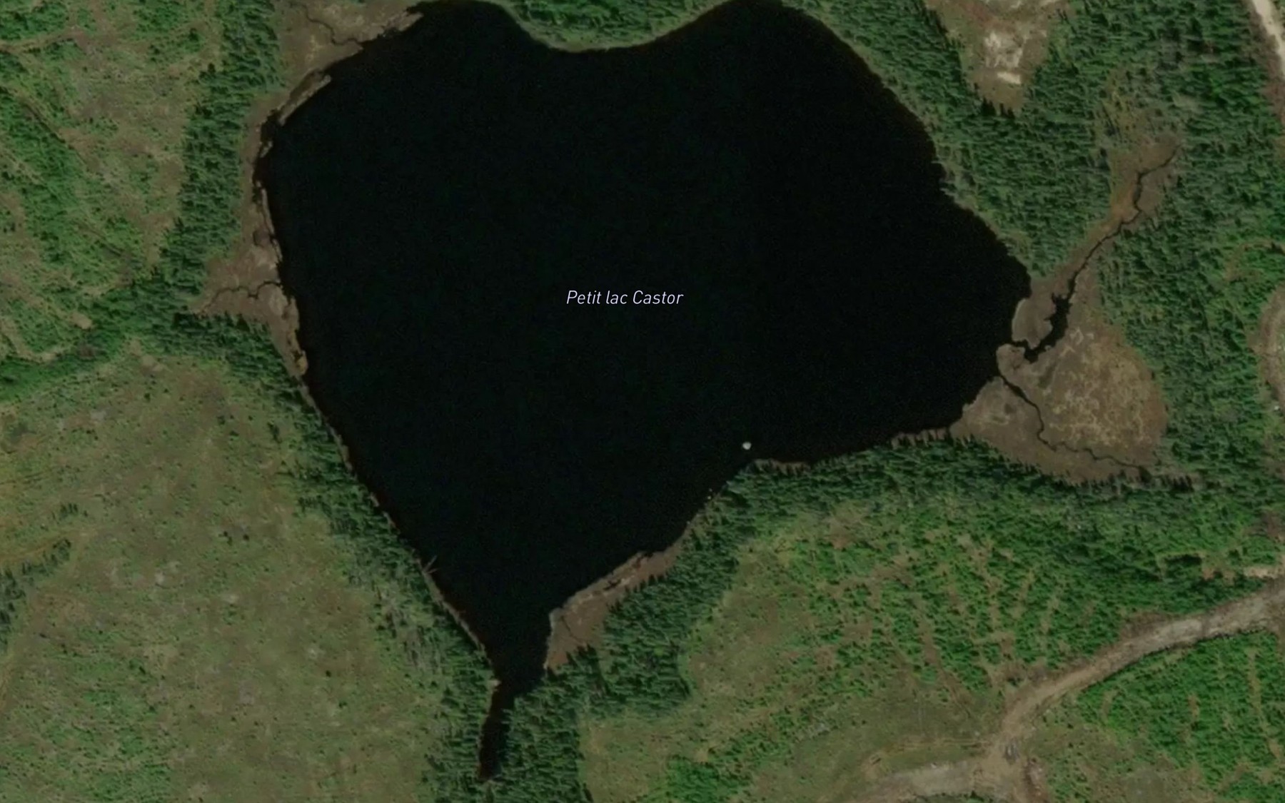 Satellite map of the Petit lac Castor