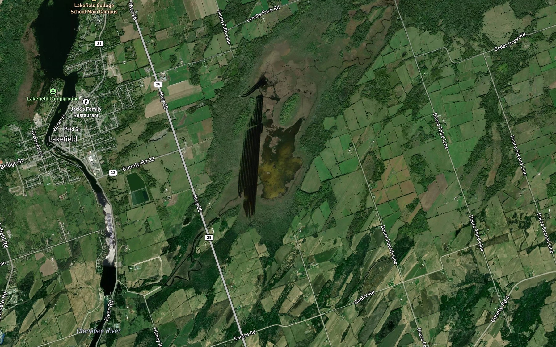 Satellite map of the Buckley Lake