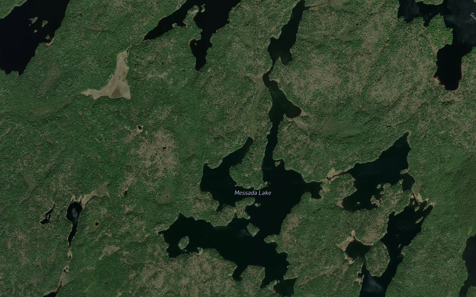 Satellite map of the Messada Lake
