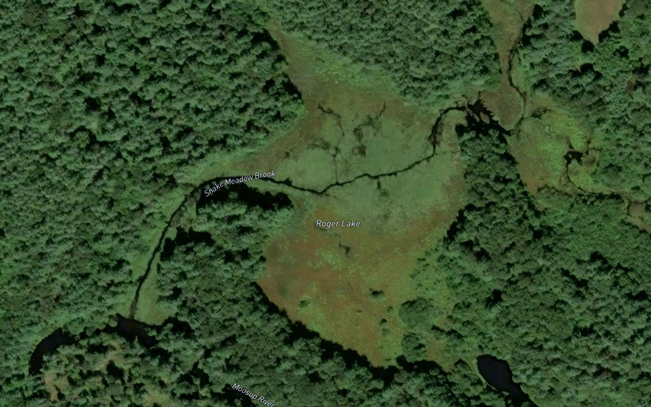 Roger Lake