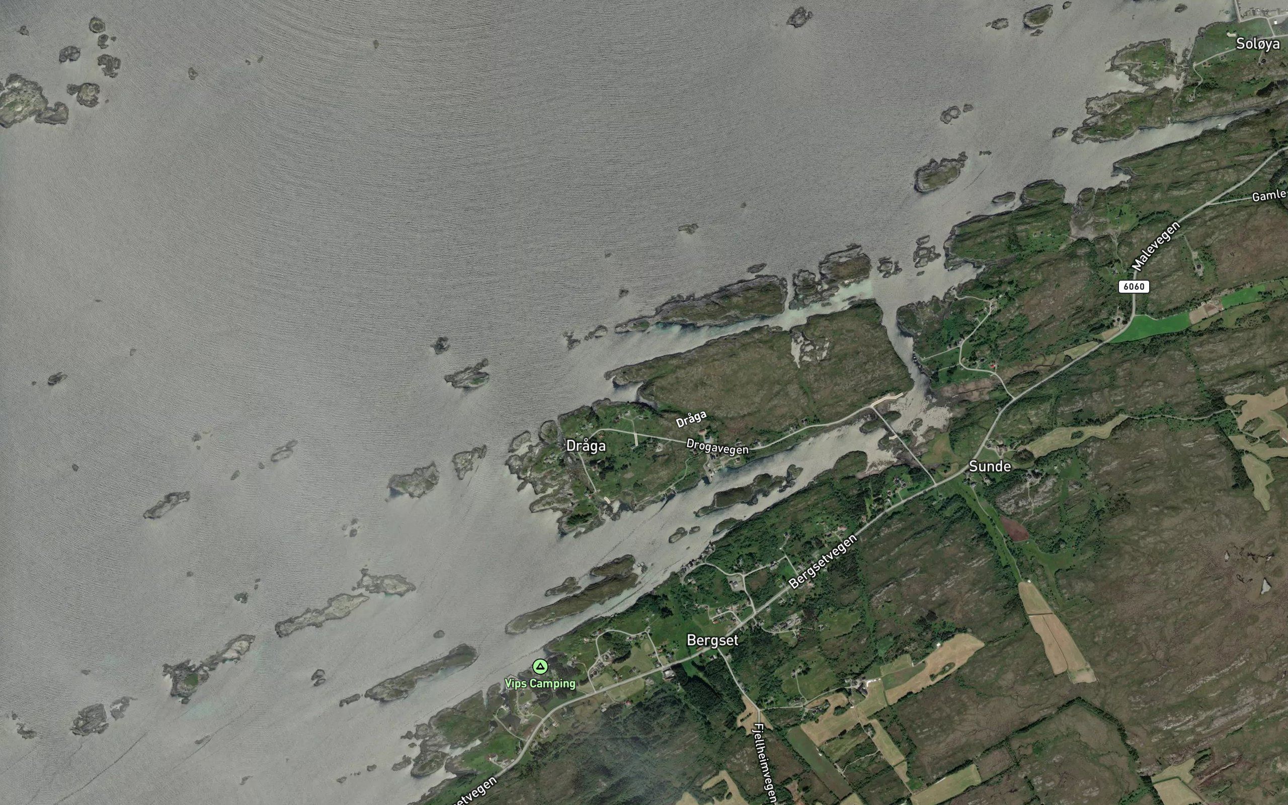 Vardvika