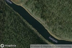 Hirvisuvanto