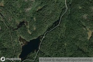Urdvasselva