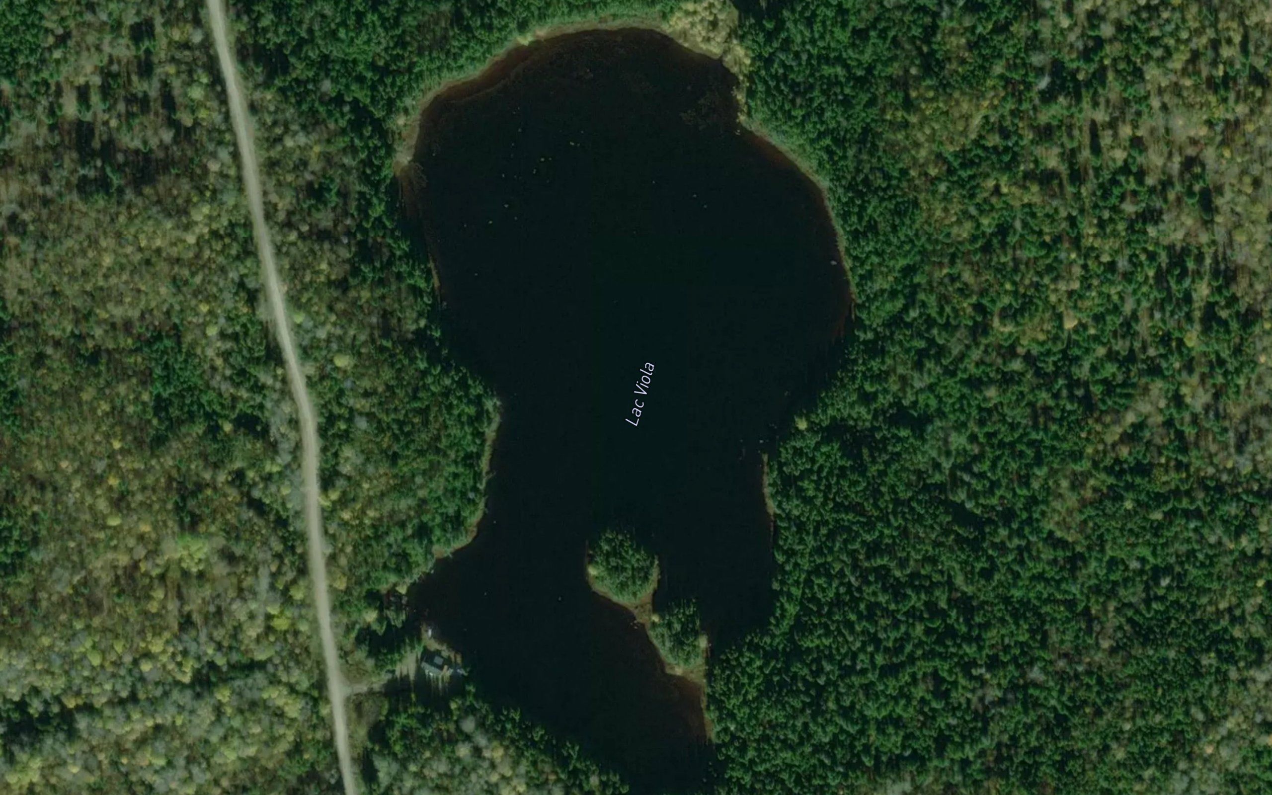 Lac Viola