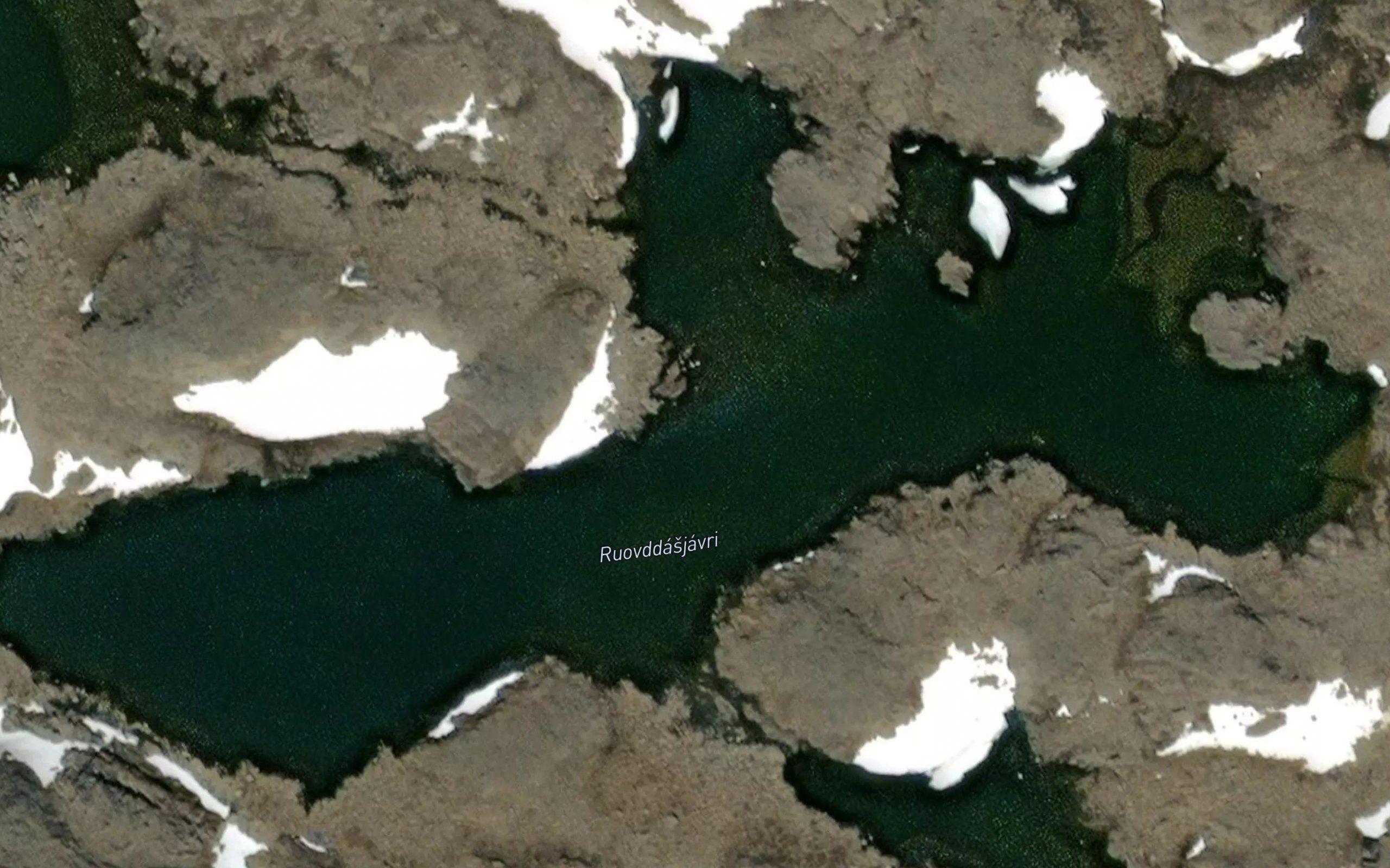 Ruovddasjavri