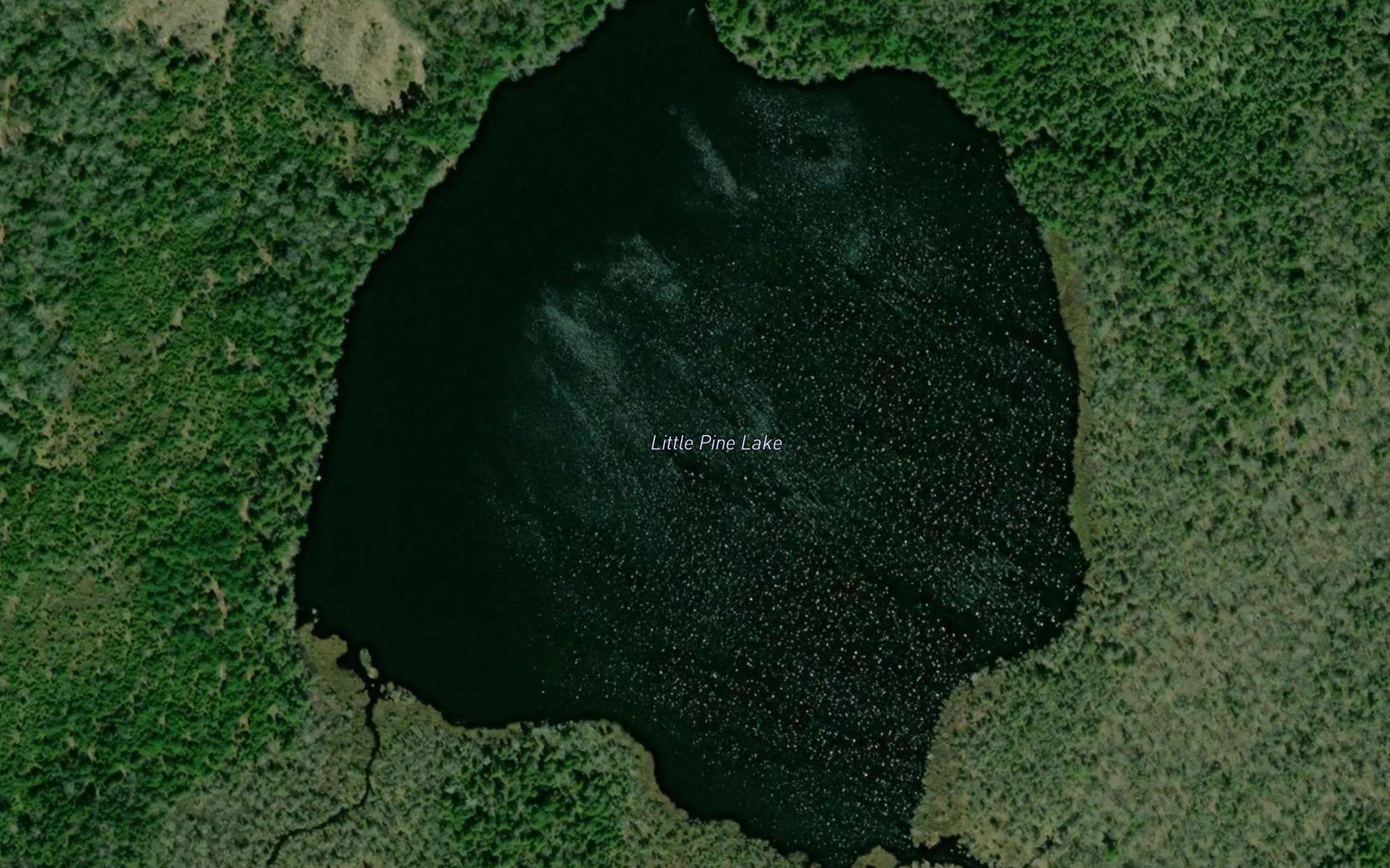 Little Pine Lake