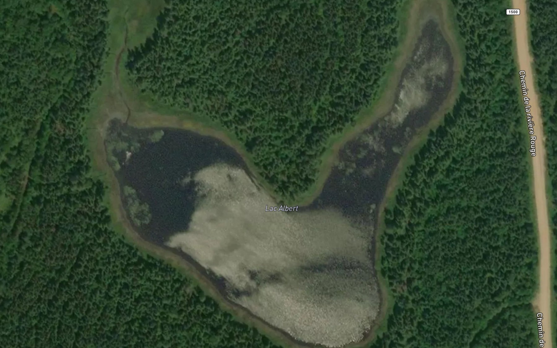 Satellite map of the Lac Albert