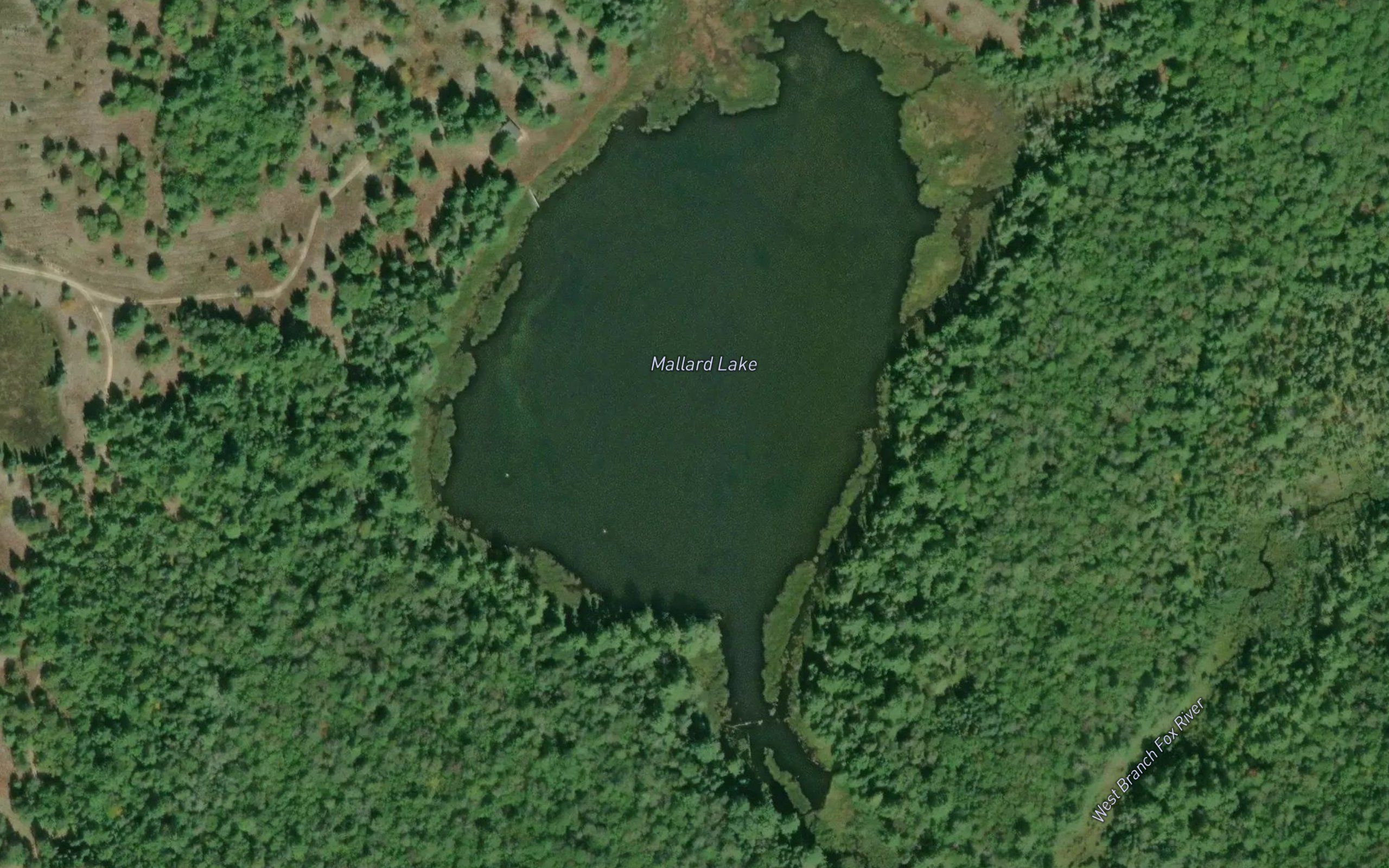 Mallard Lake