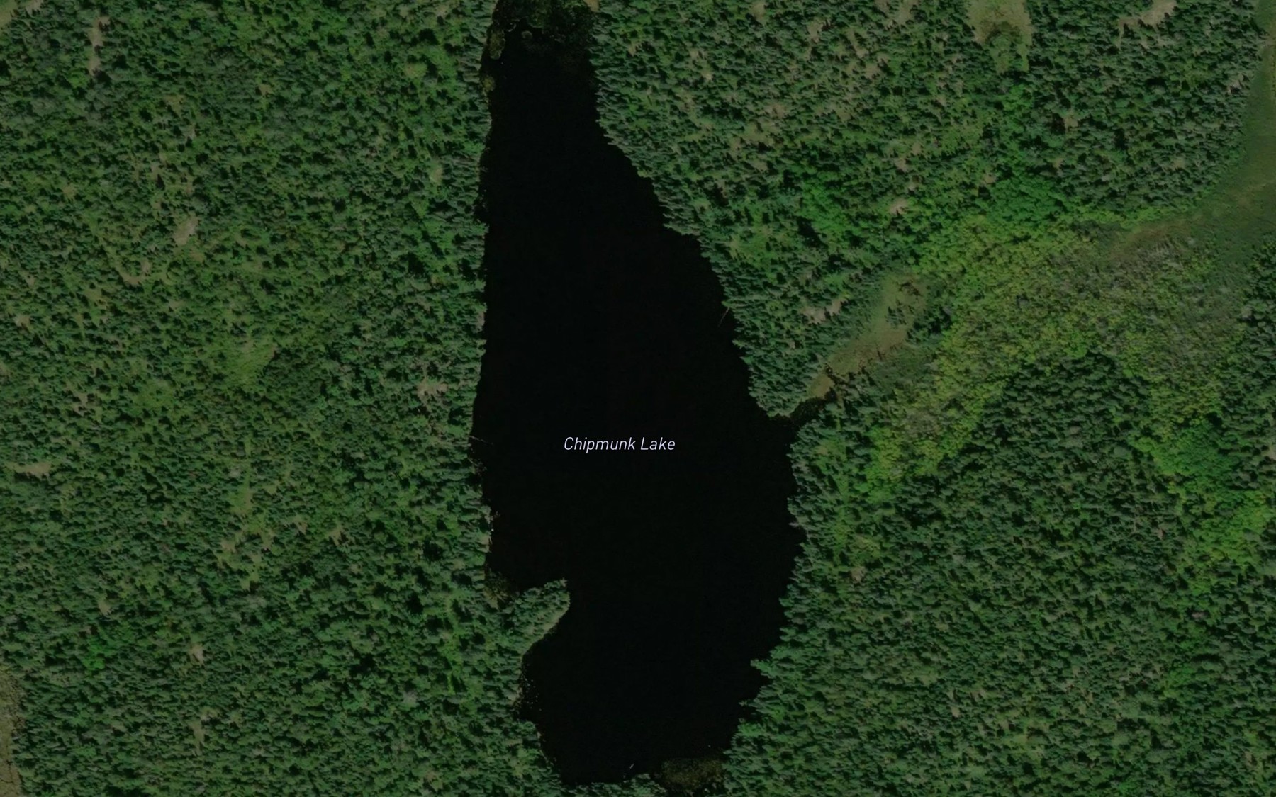 Satellite map of the Chipmunk Lake