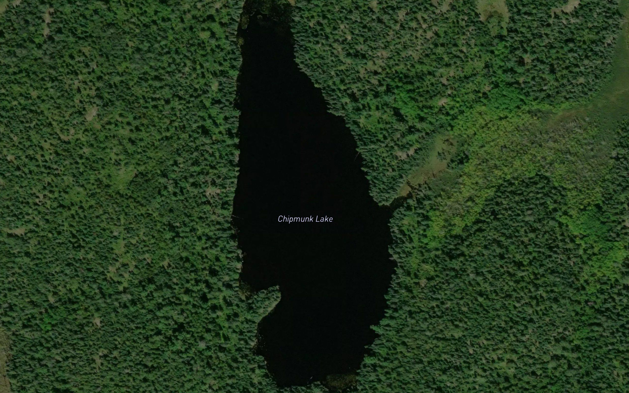 Chipmunk Lake