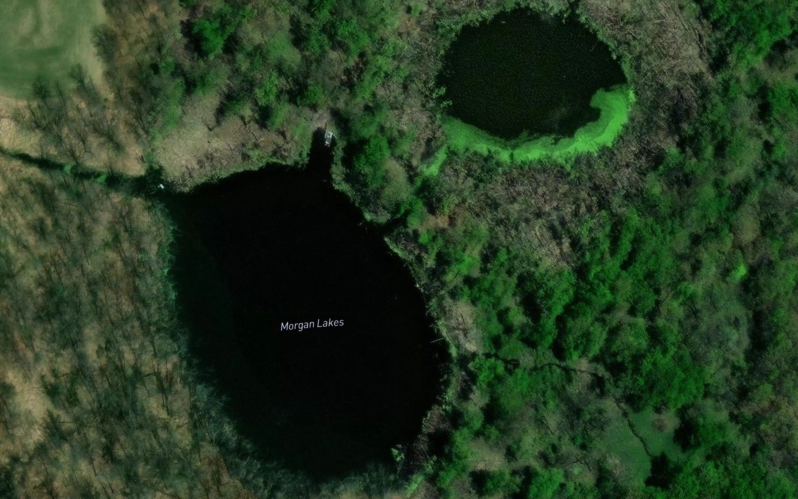 Morgan Lakes