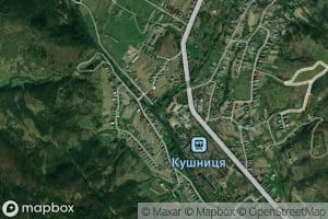Kushnytsia