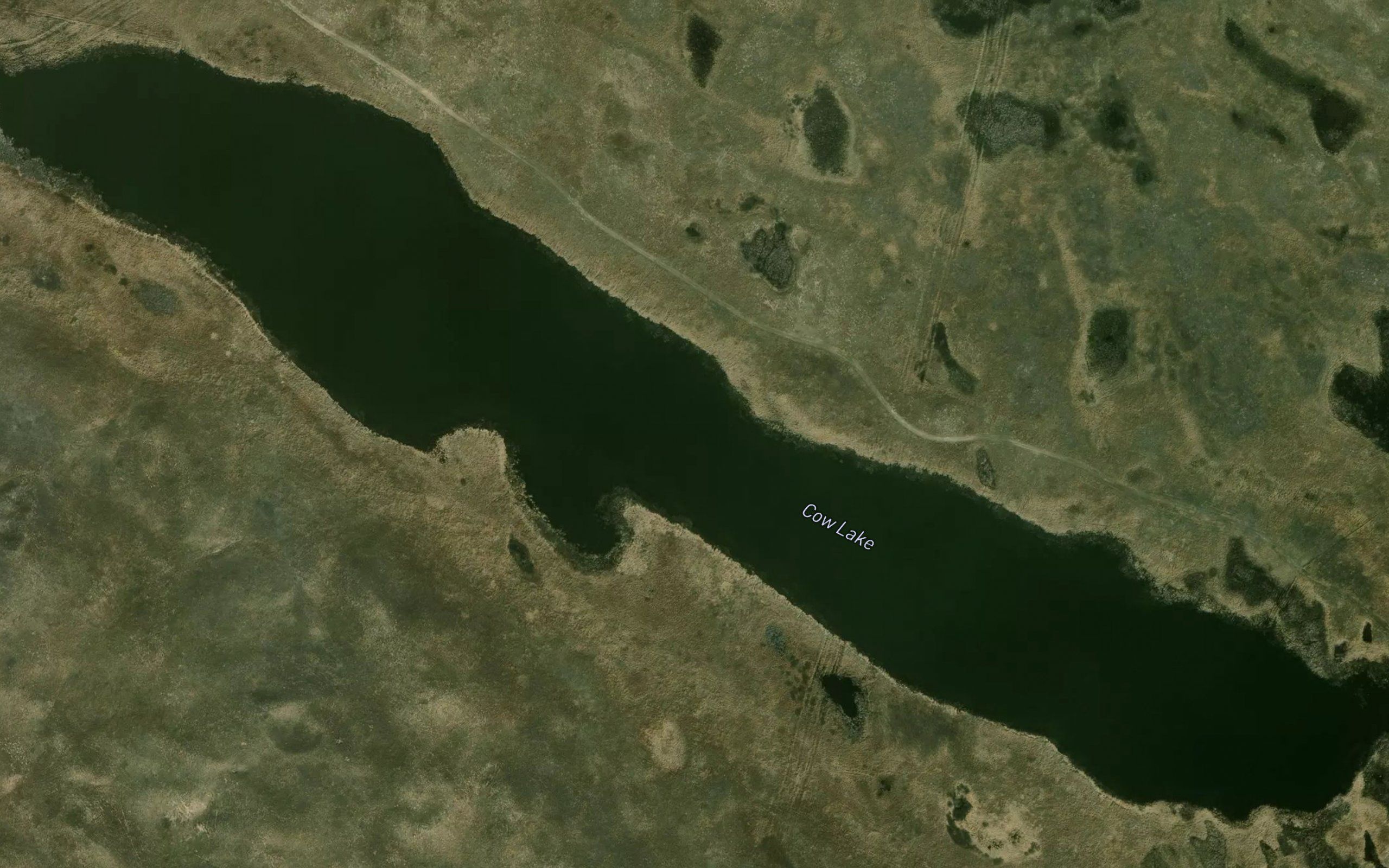 Cow Lake
