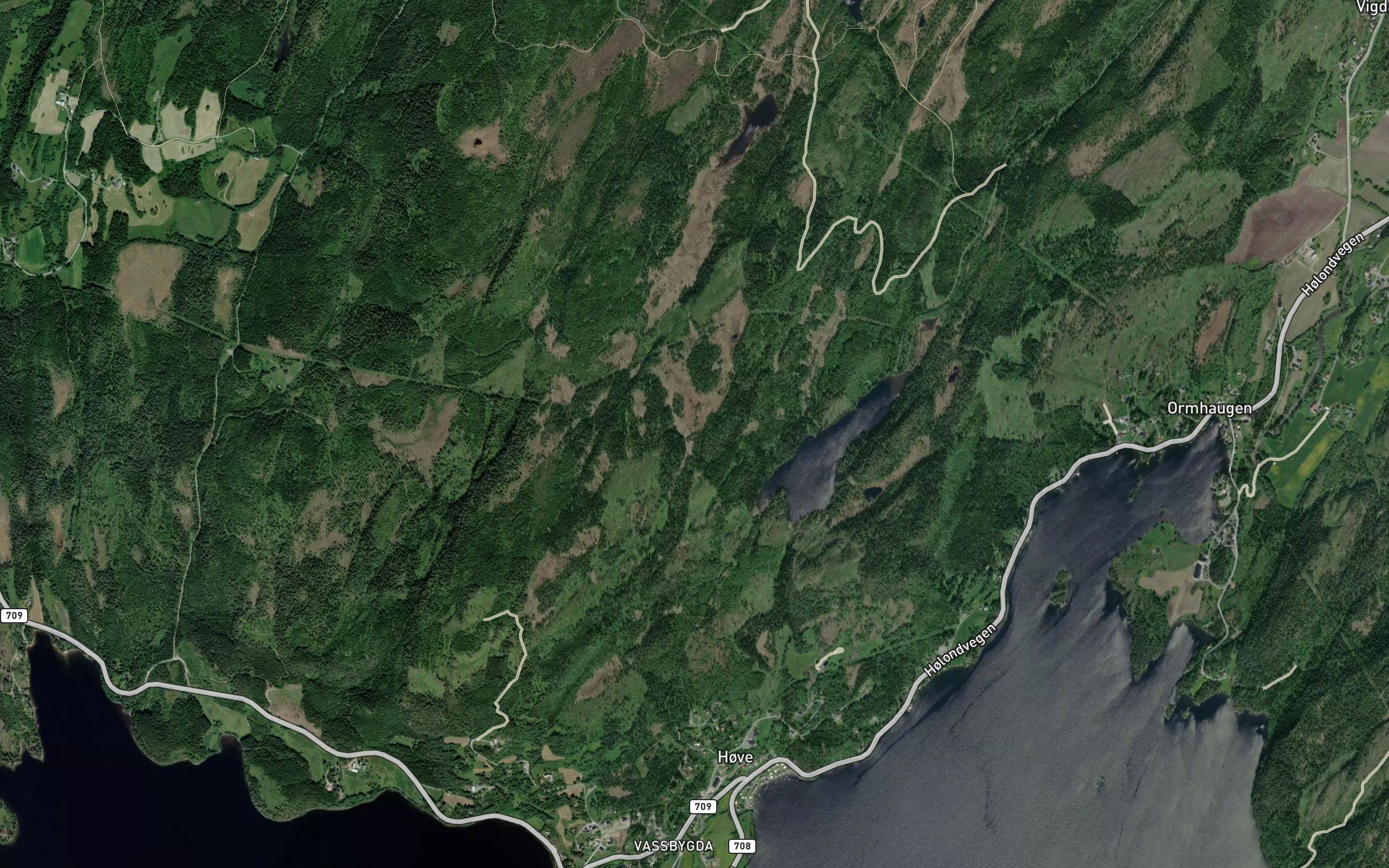 Okstjorna