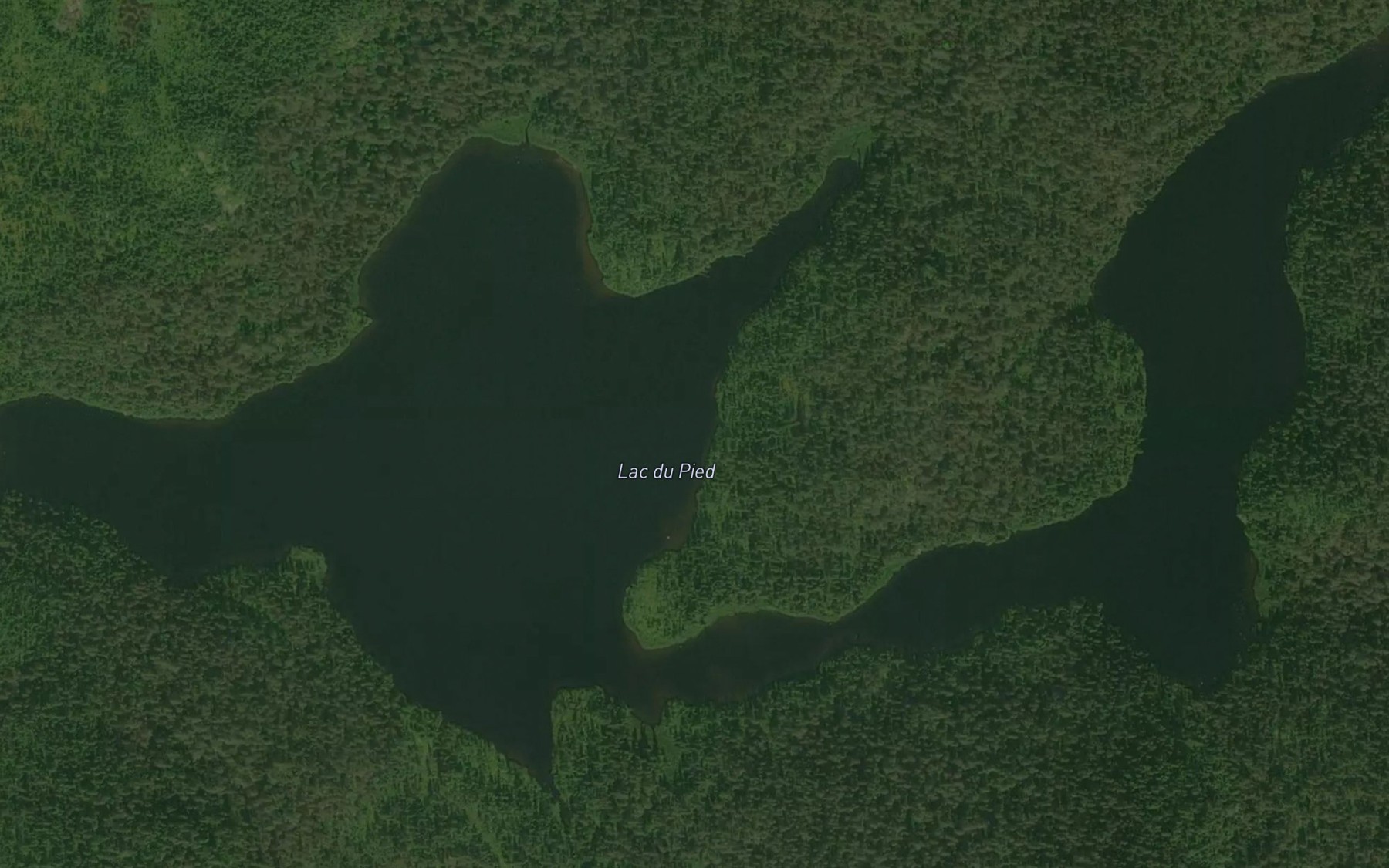 Satellite map of the Lac du Pied