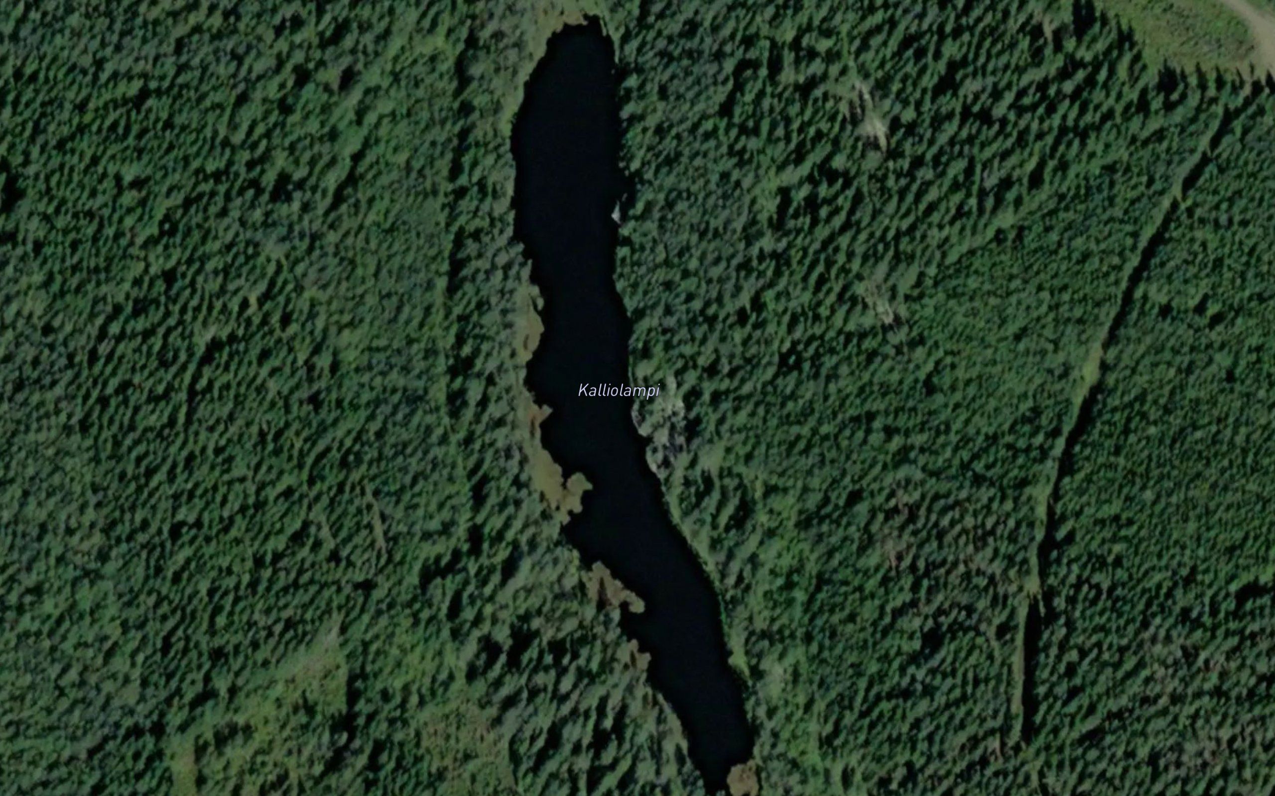 Kalliolampi