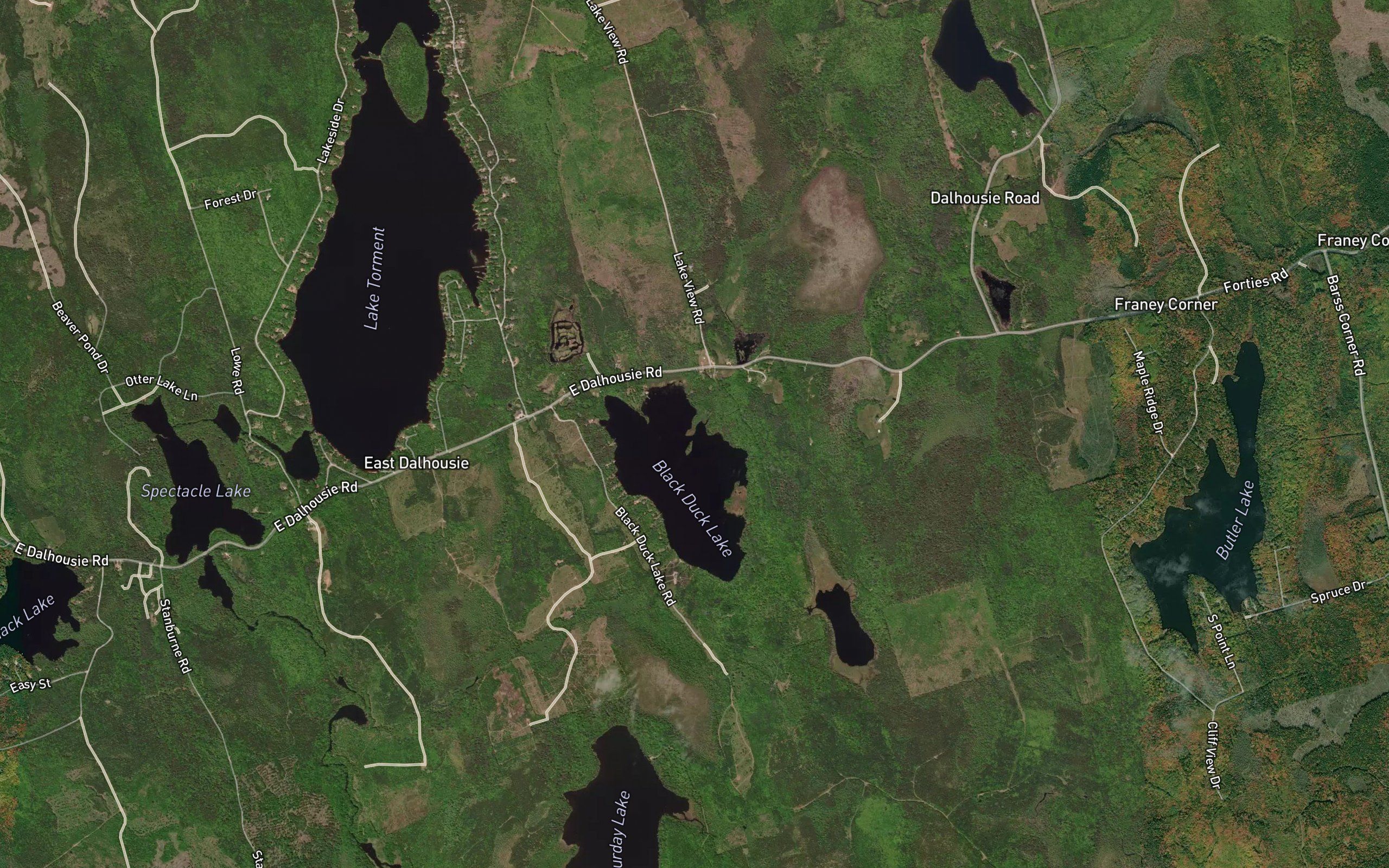 Black Duck Lake Brook
