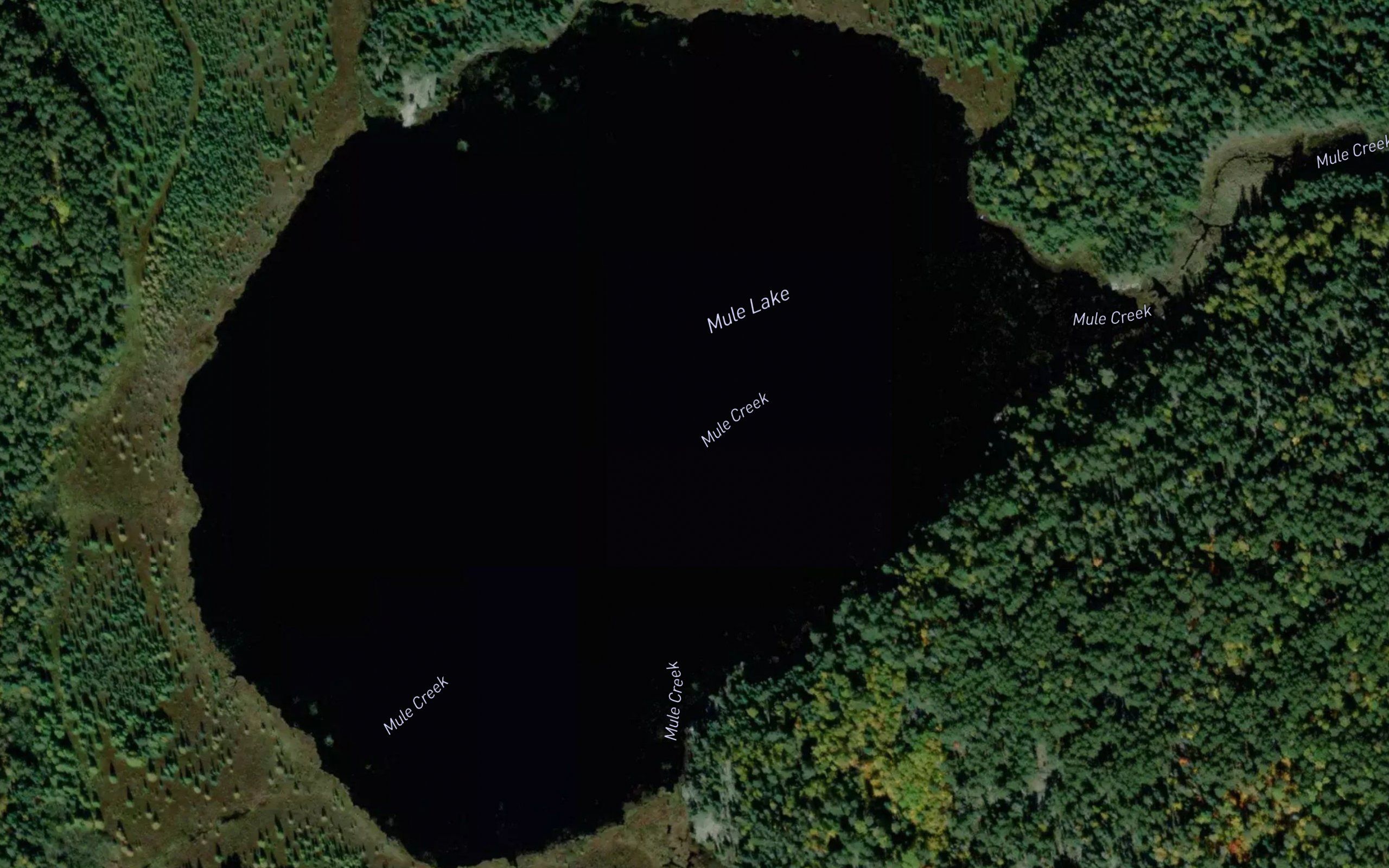 Mule Lake