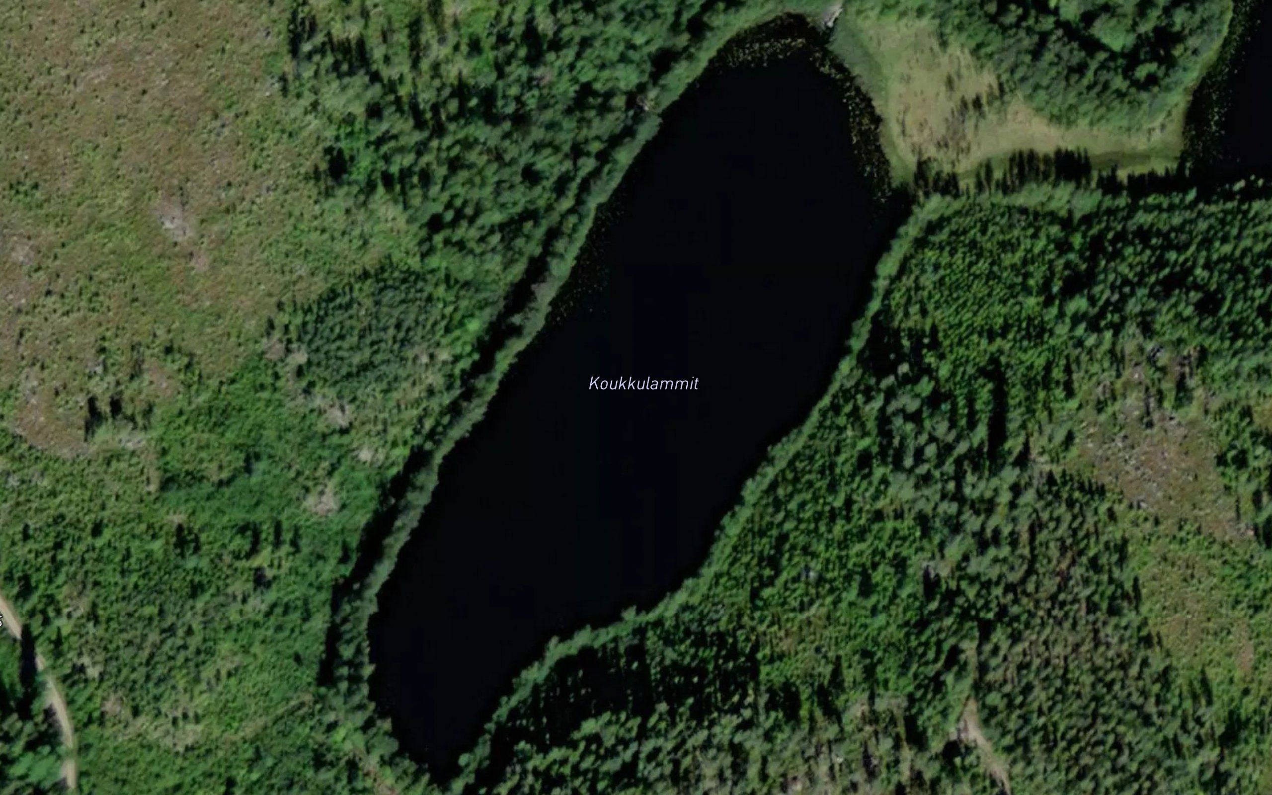 Koukkulammit