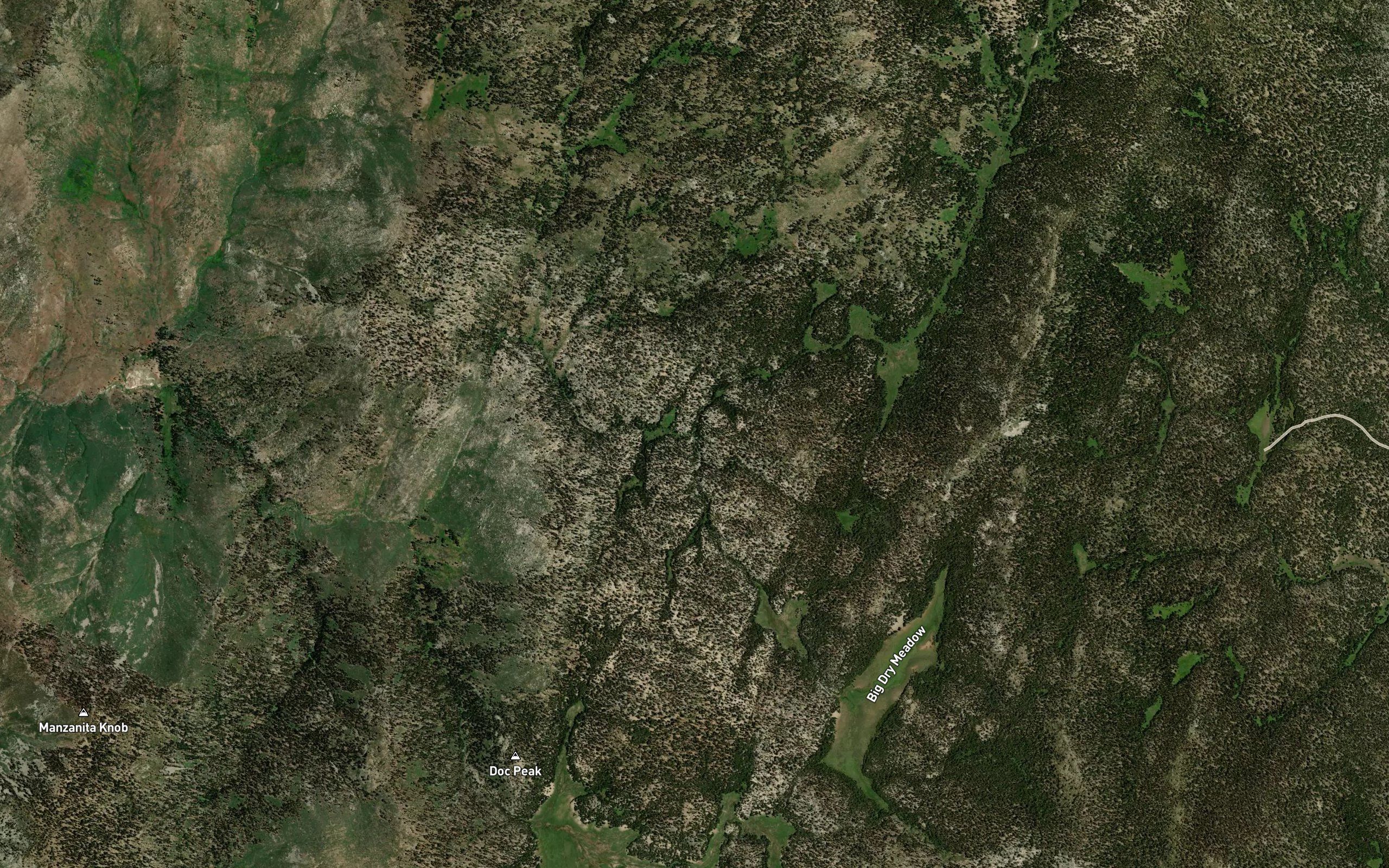 Lost Trout Creek