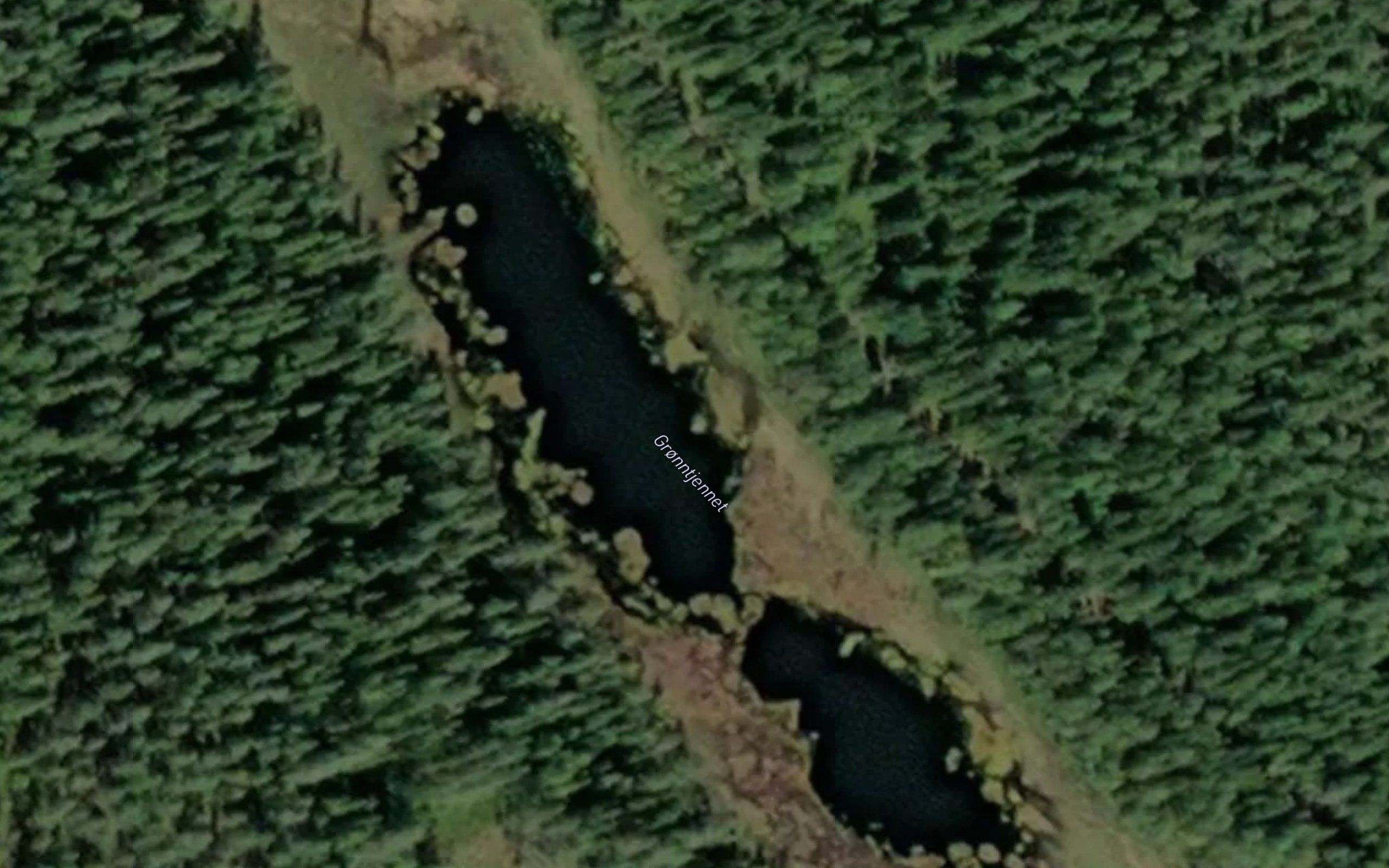 Gronntjennet