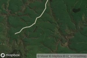 Tokomairiro River East Branch