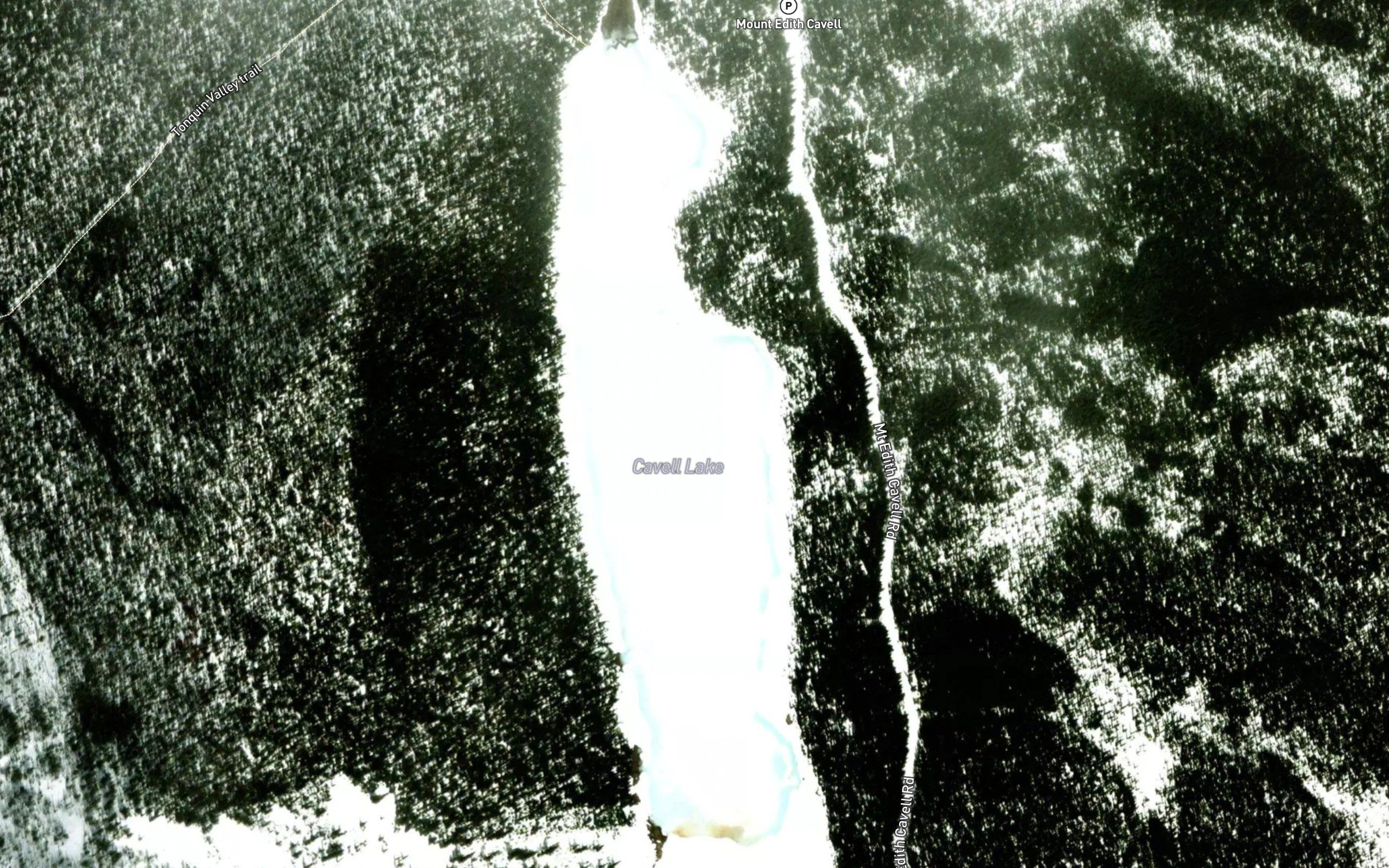 Cavell Lake