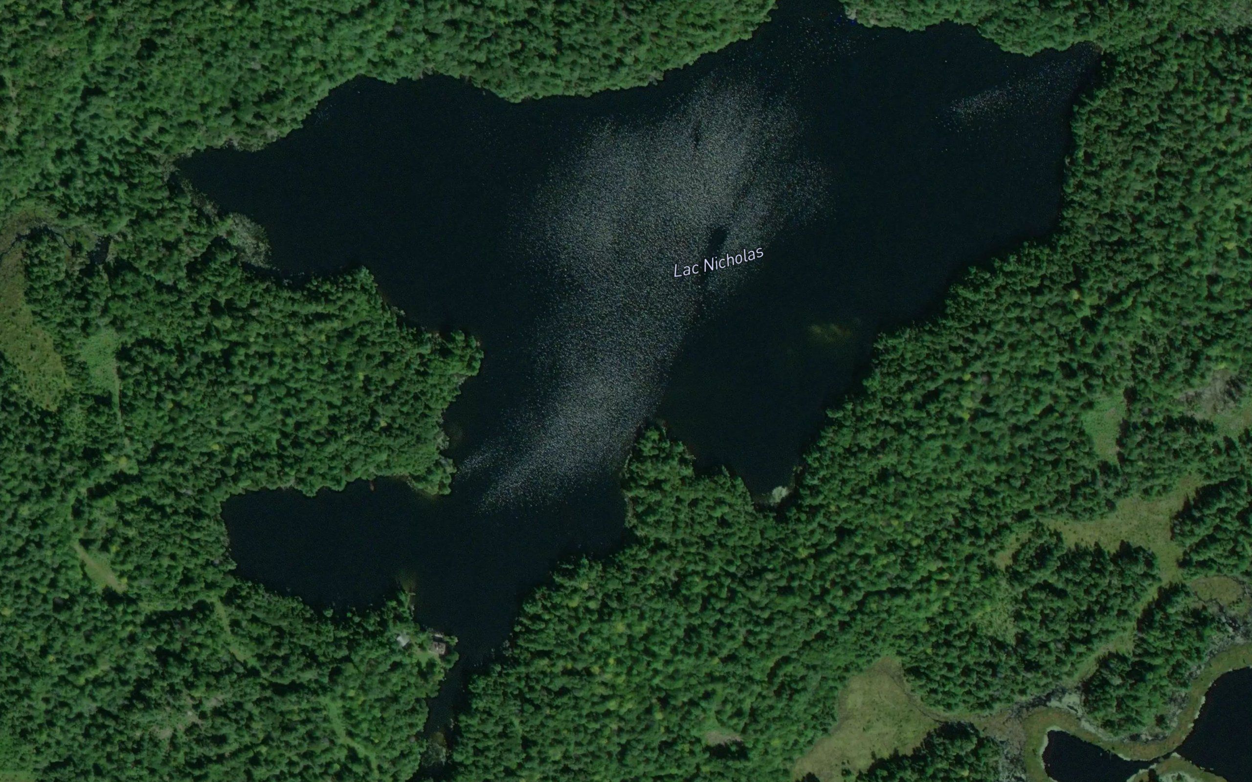Lac Nicholas