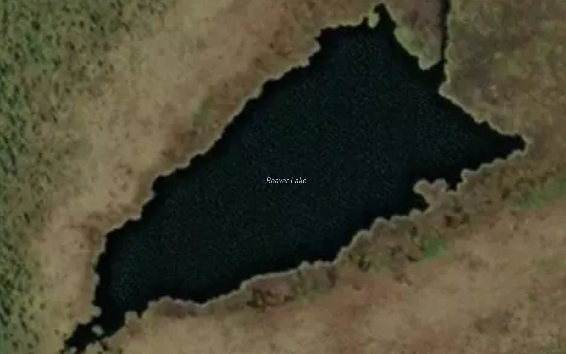 Satellite map of the Beaver Lake
