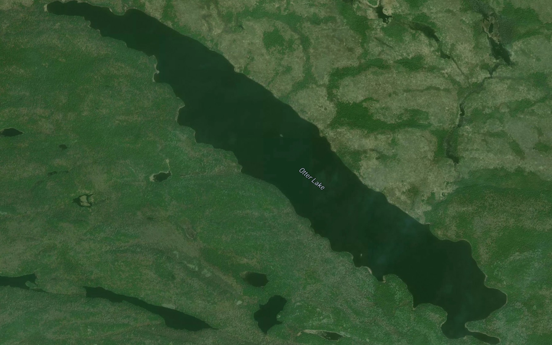 Satellite map of the Otter Lake