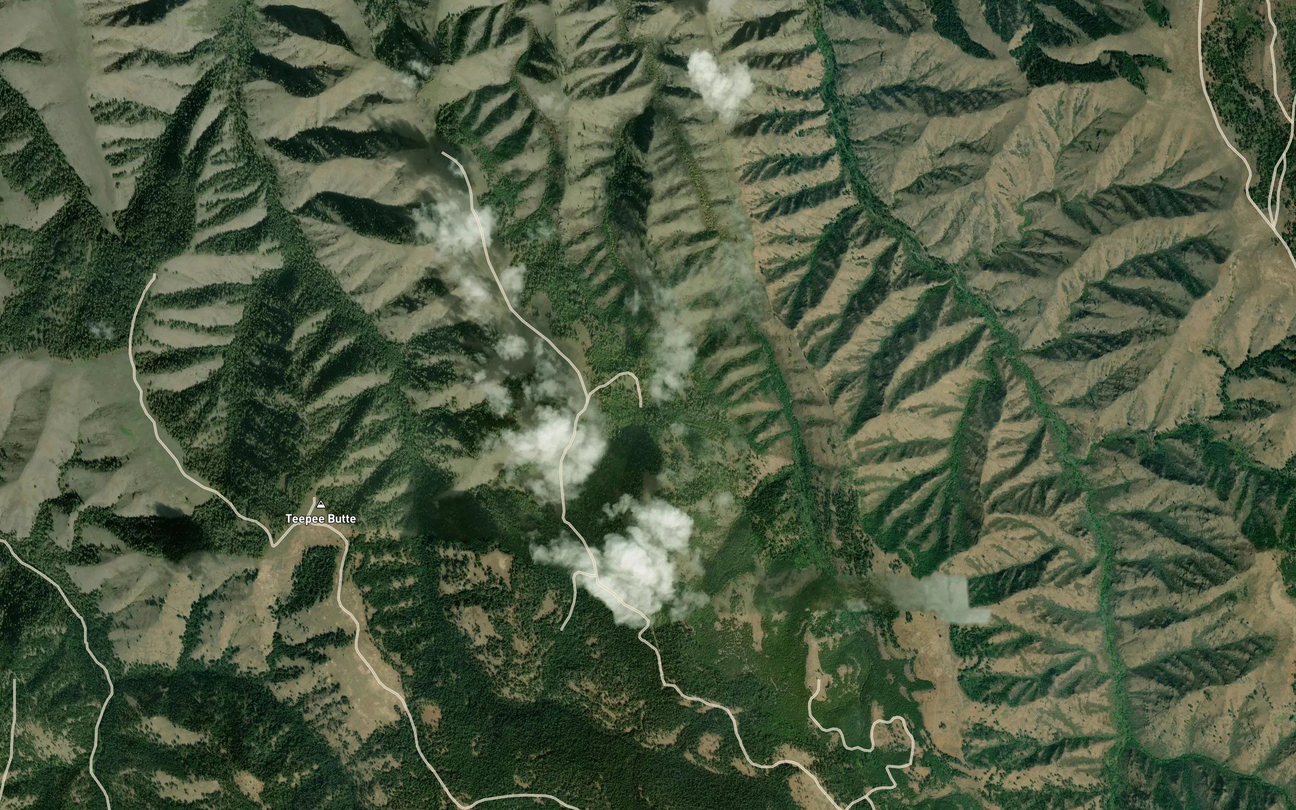 Wildhorse Spring