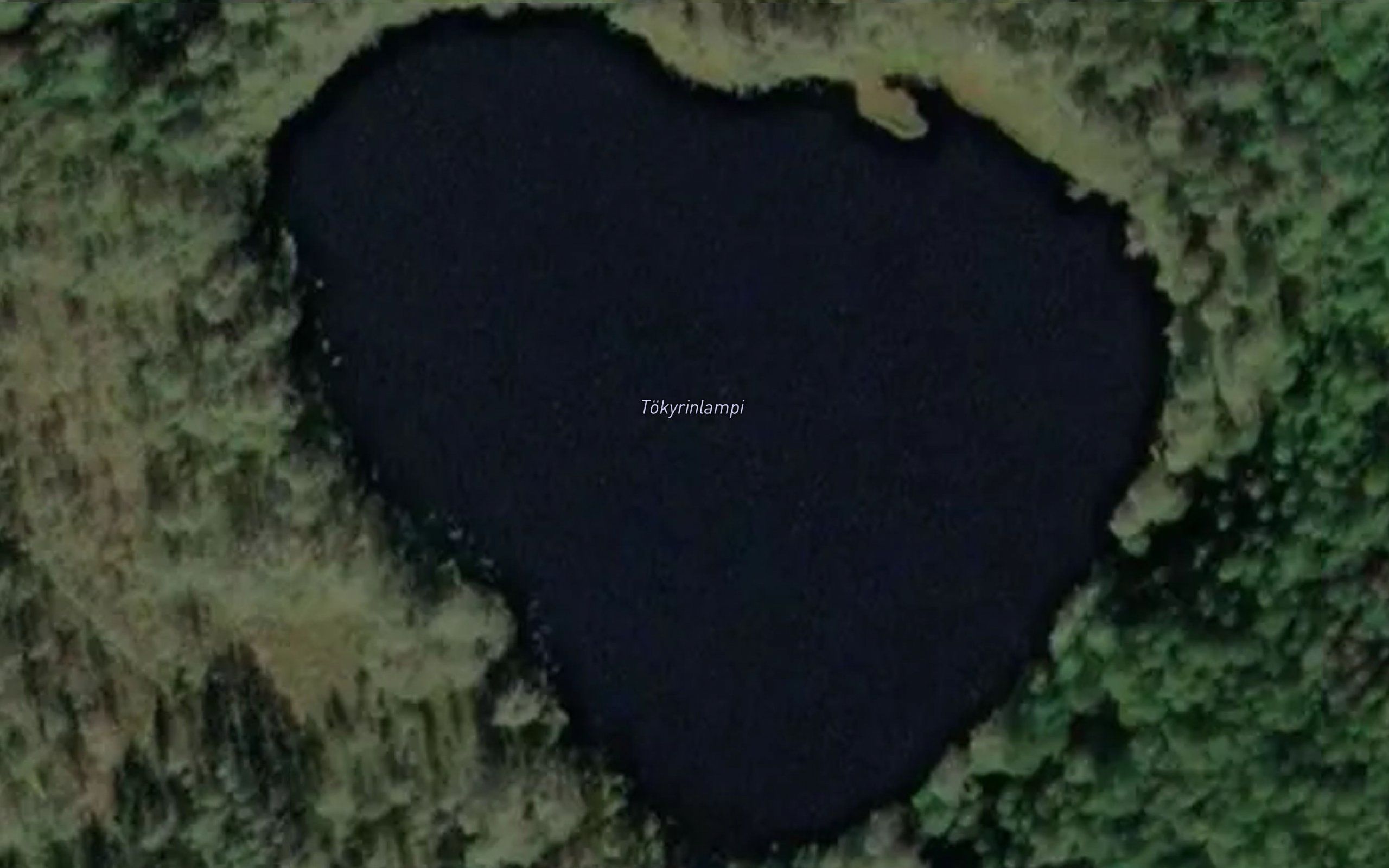 Tokyrinlampi