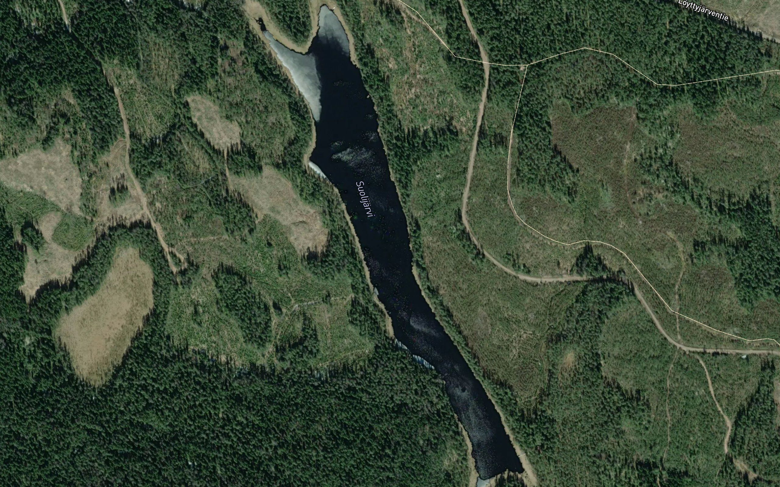 Suolijarvi