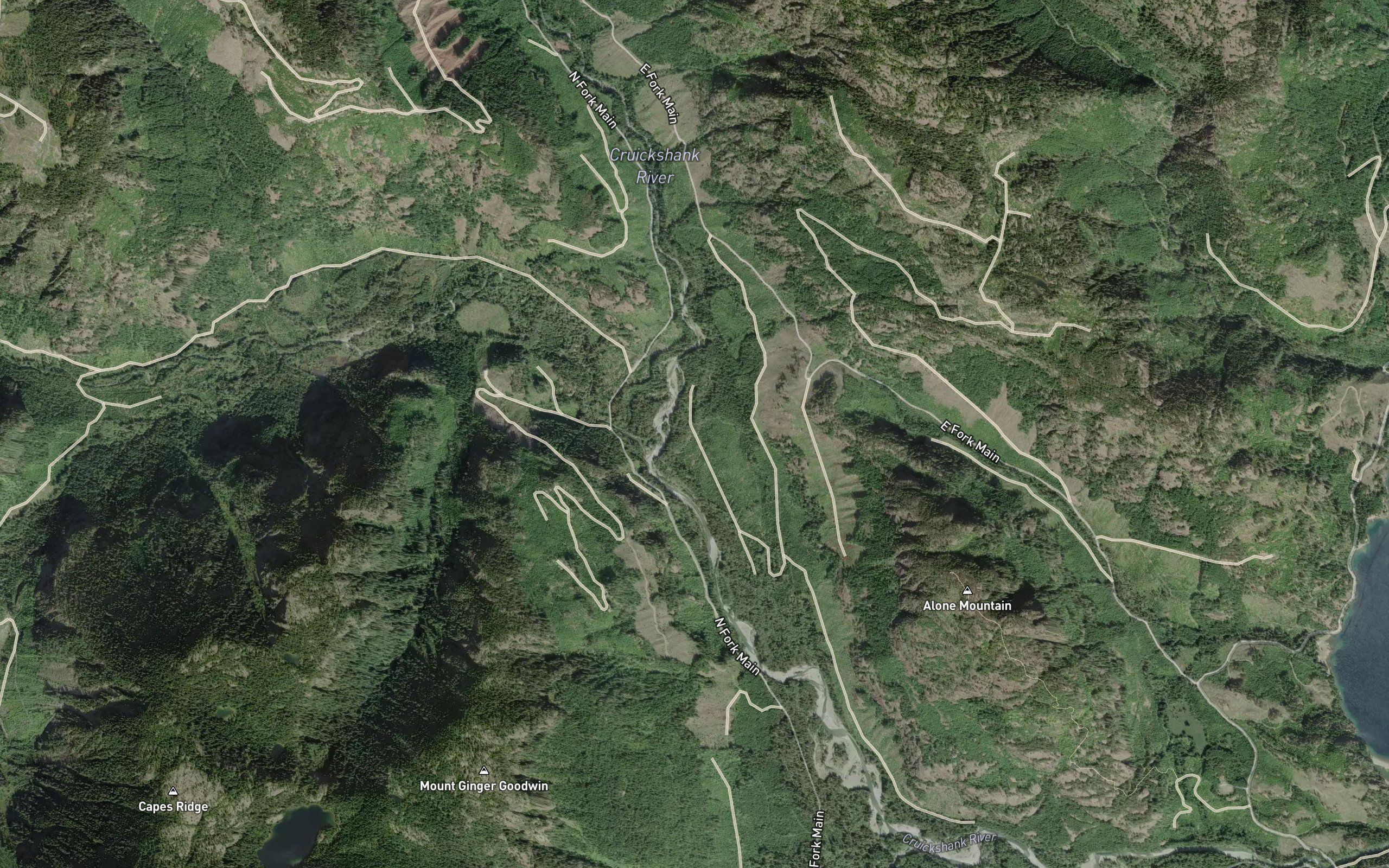 Rees Creek