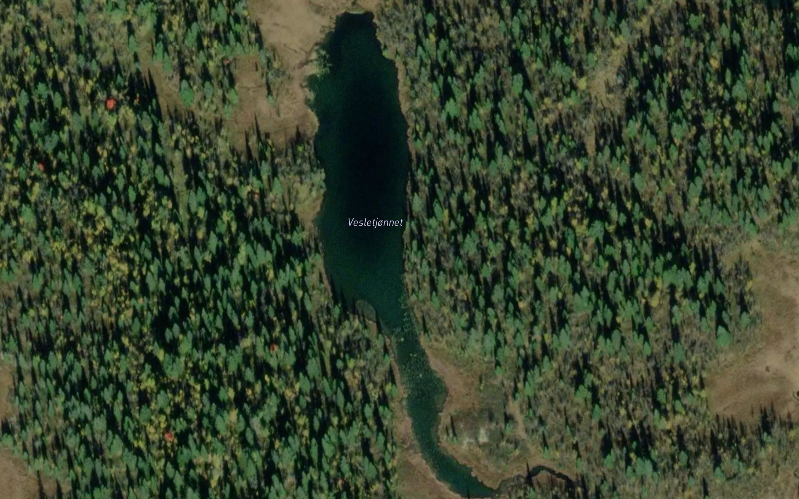 Vesletjonnet
