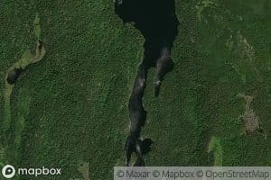 Bloom Lake