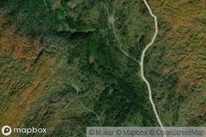 Peterson Brook