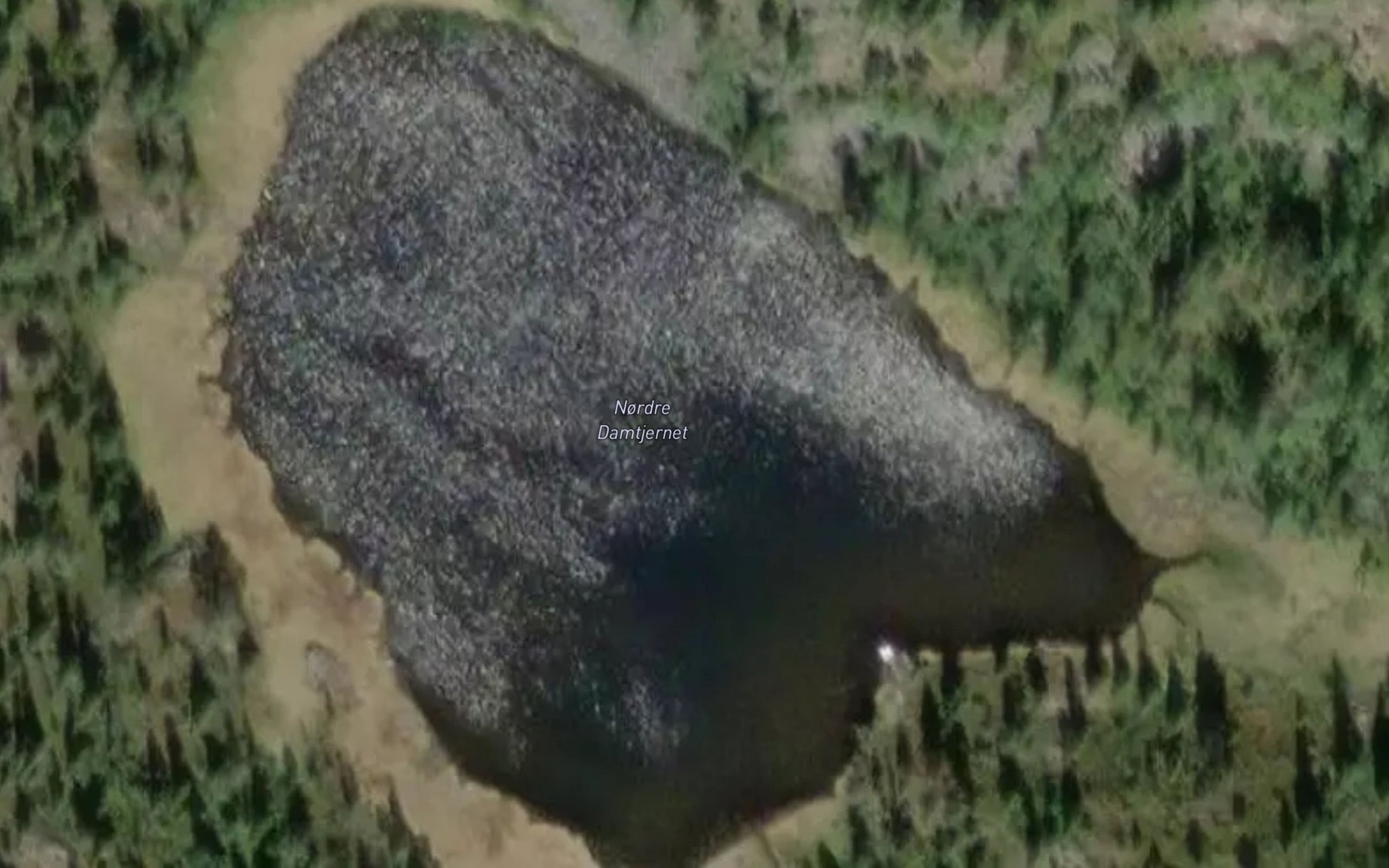 Satellite map of the Norre Damtjednet