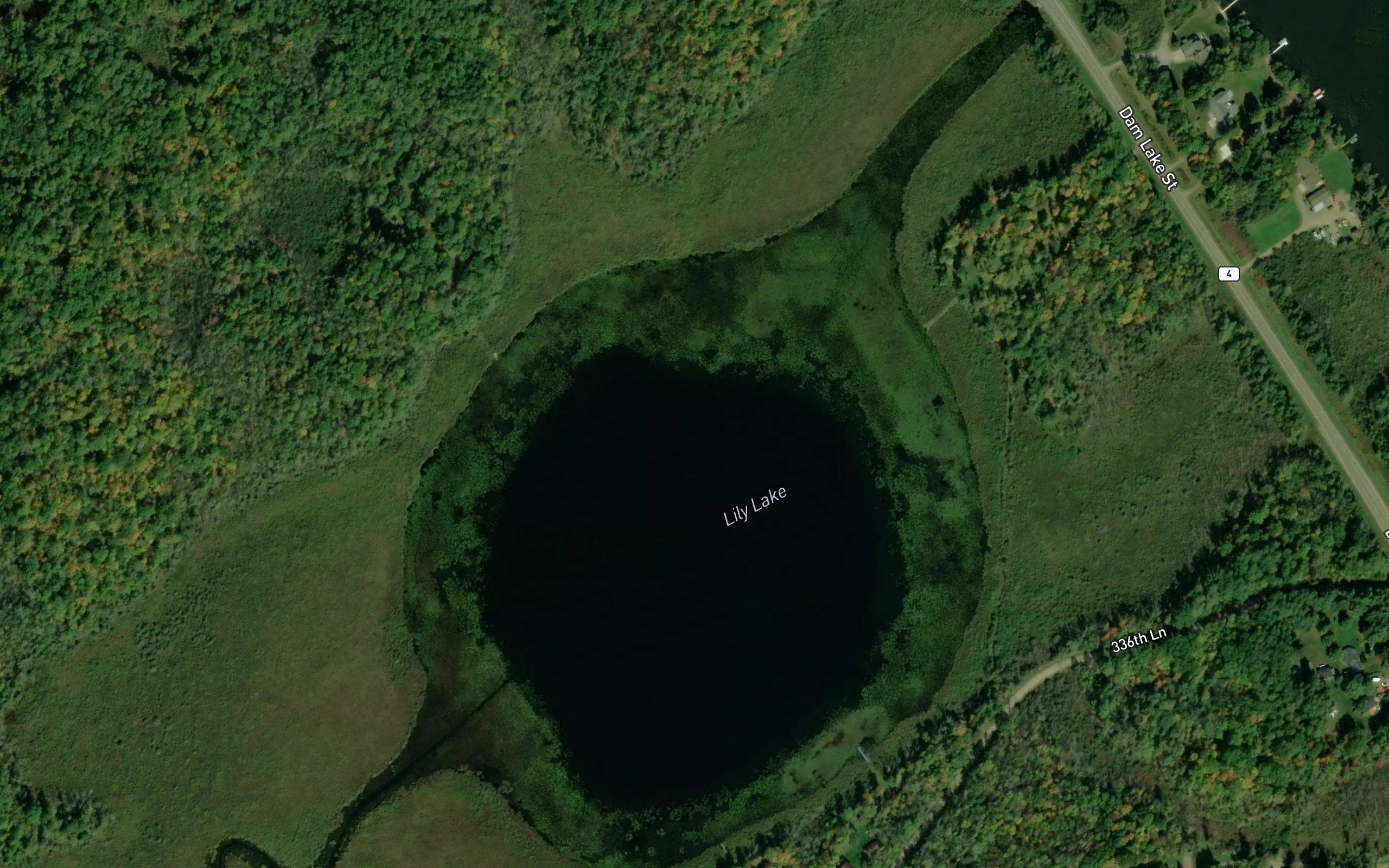 Lily Lake