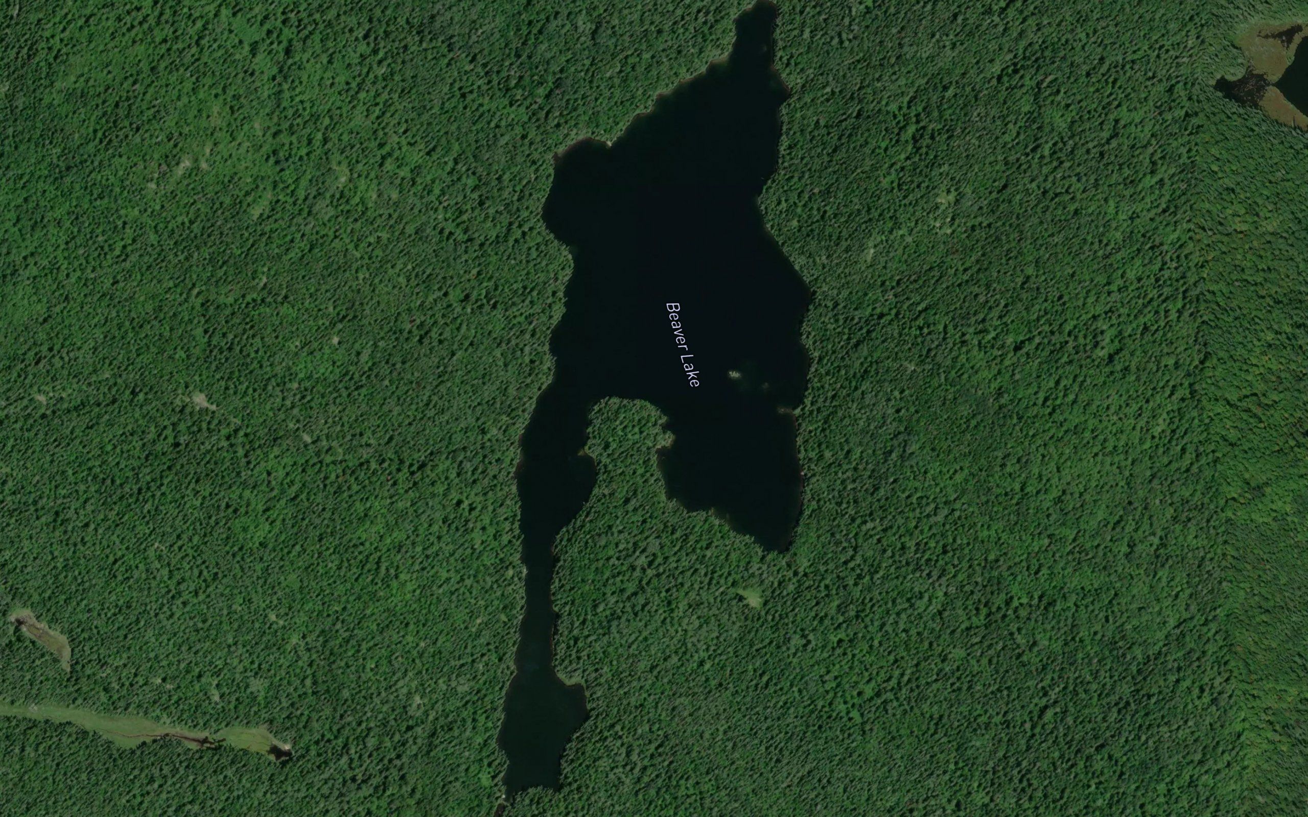 Beaver Lake