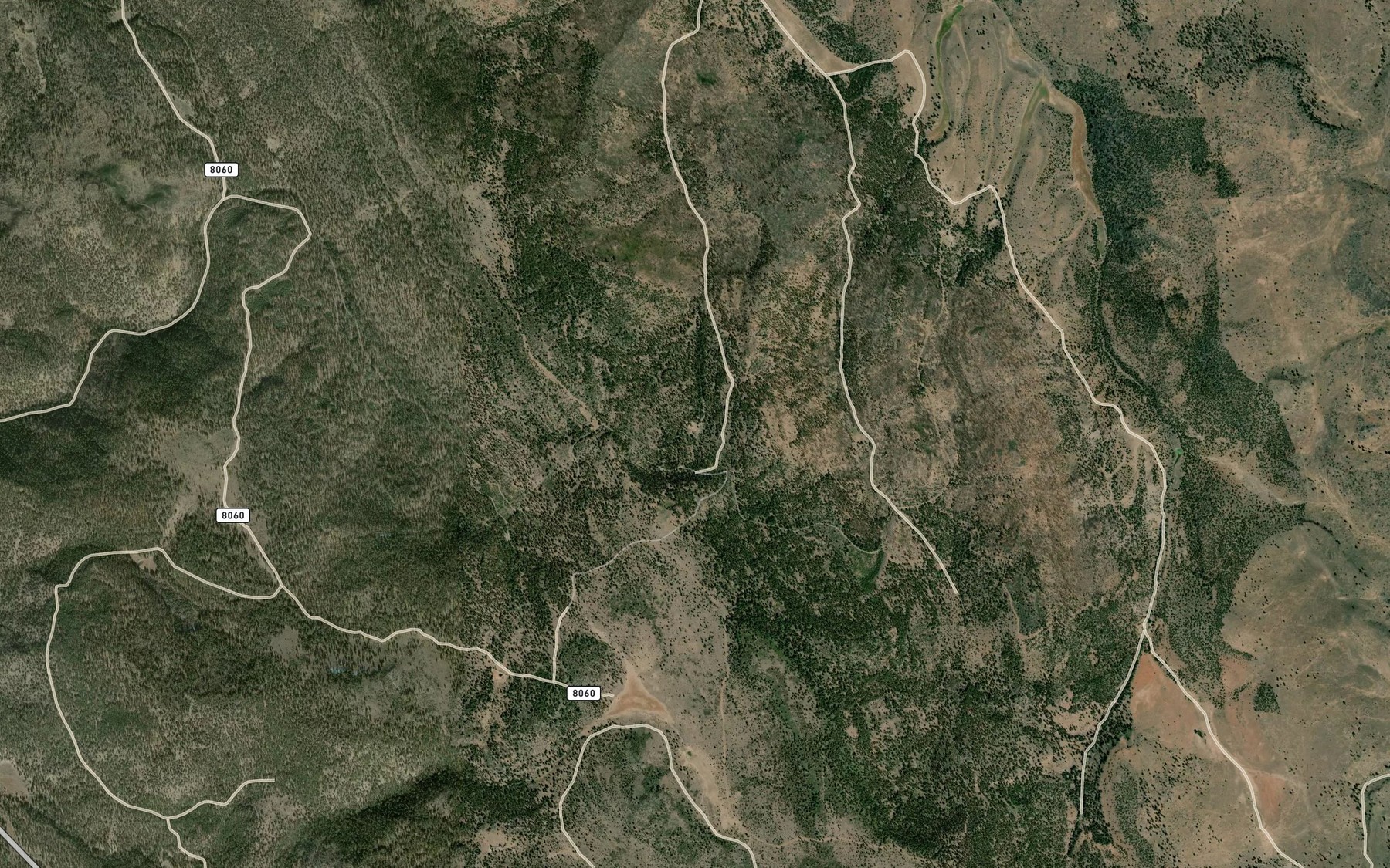 Satellite map of the Diaz Spring