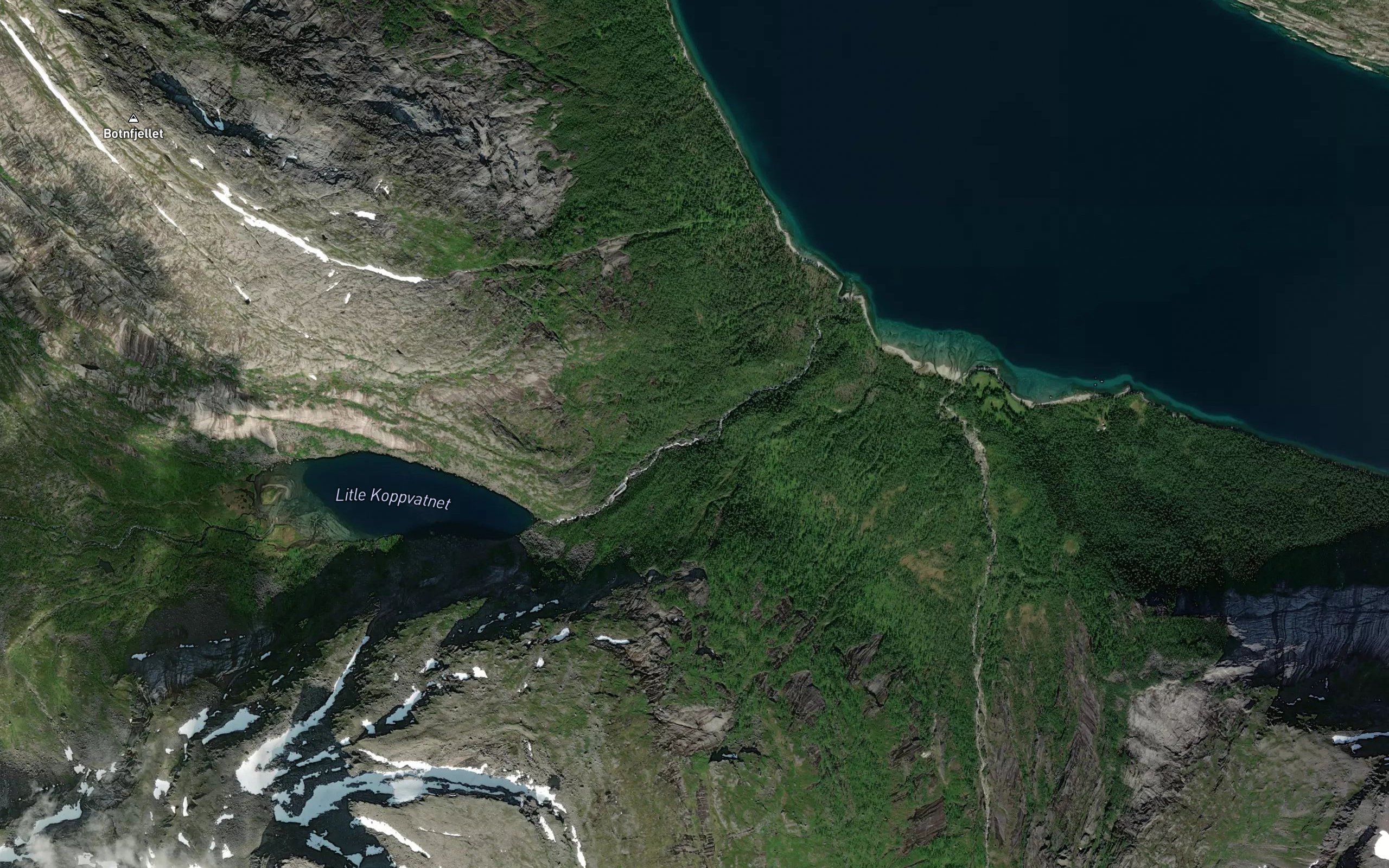 Koppvasselva