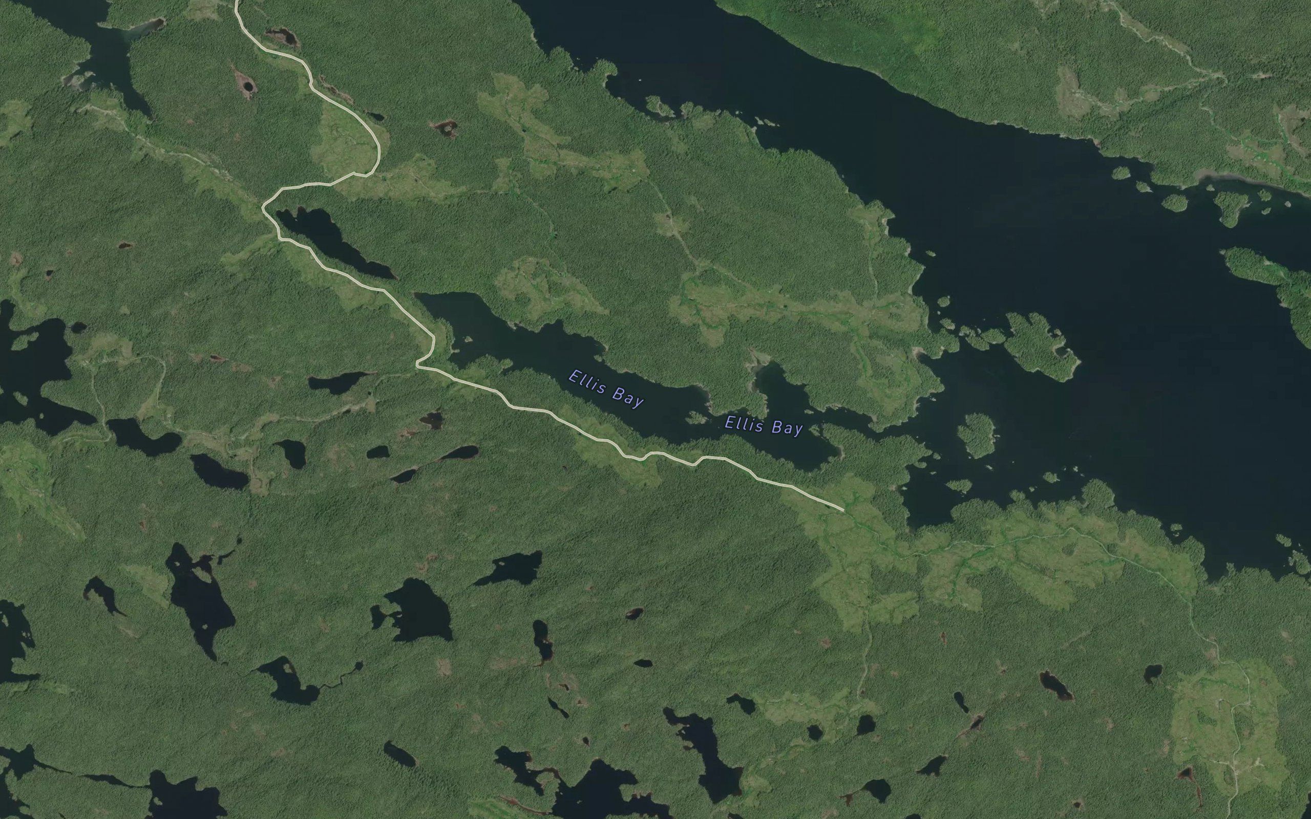 Ellis Bay