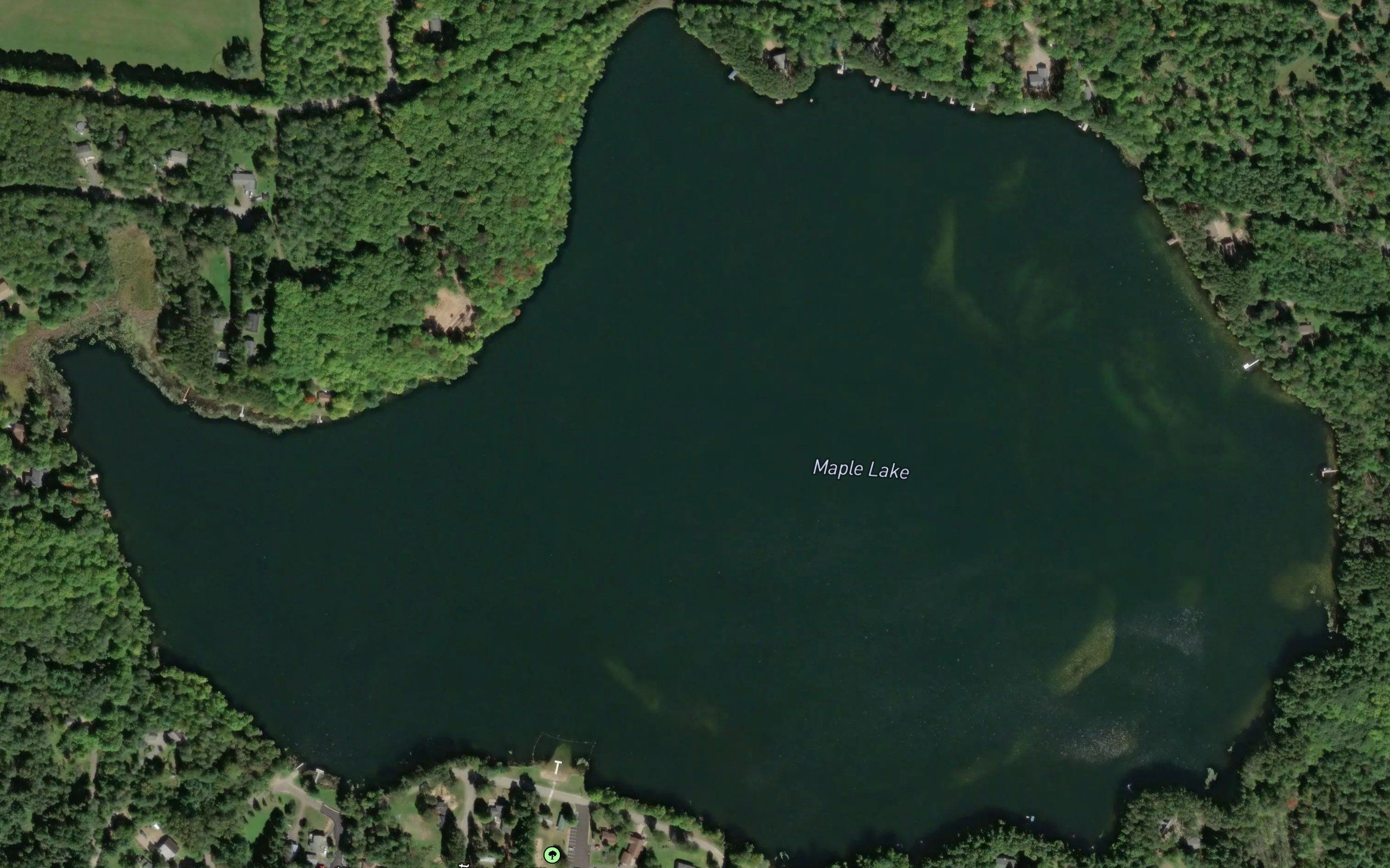 Maple Lake