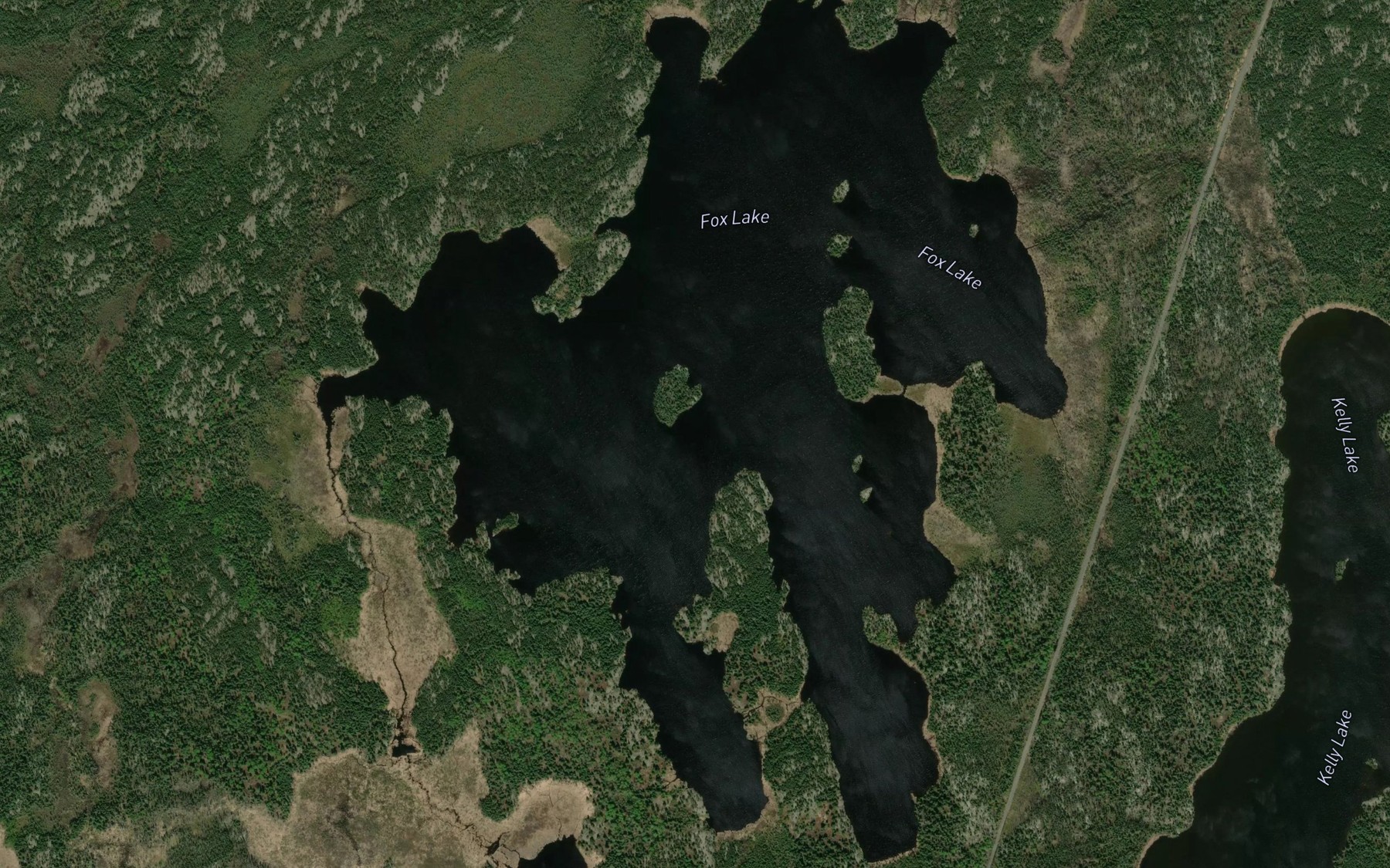 Satellite map of the Fox Lake