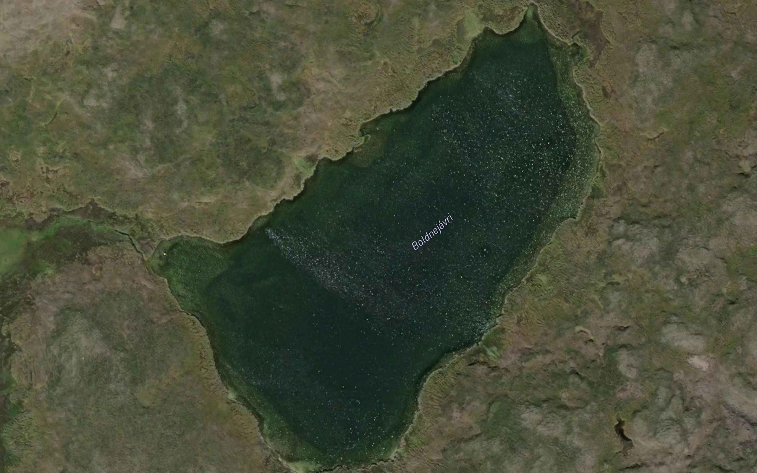 Baldnejavri