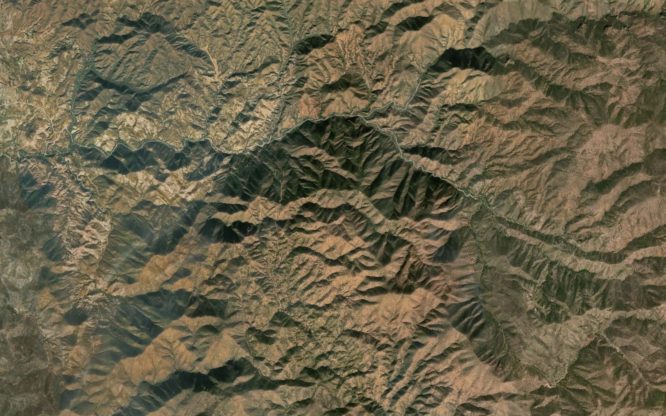Canada Quintanella