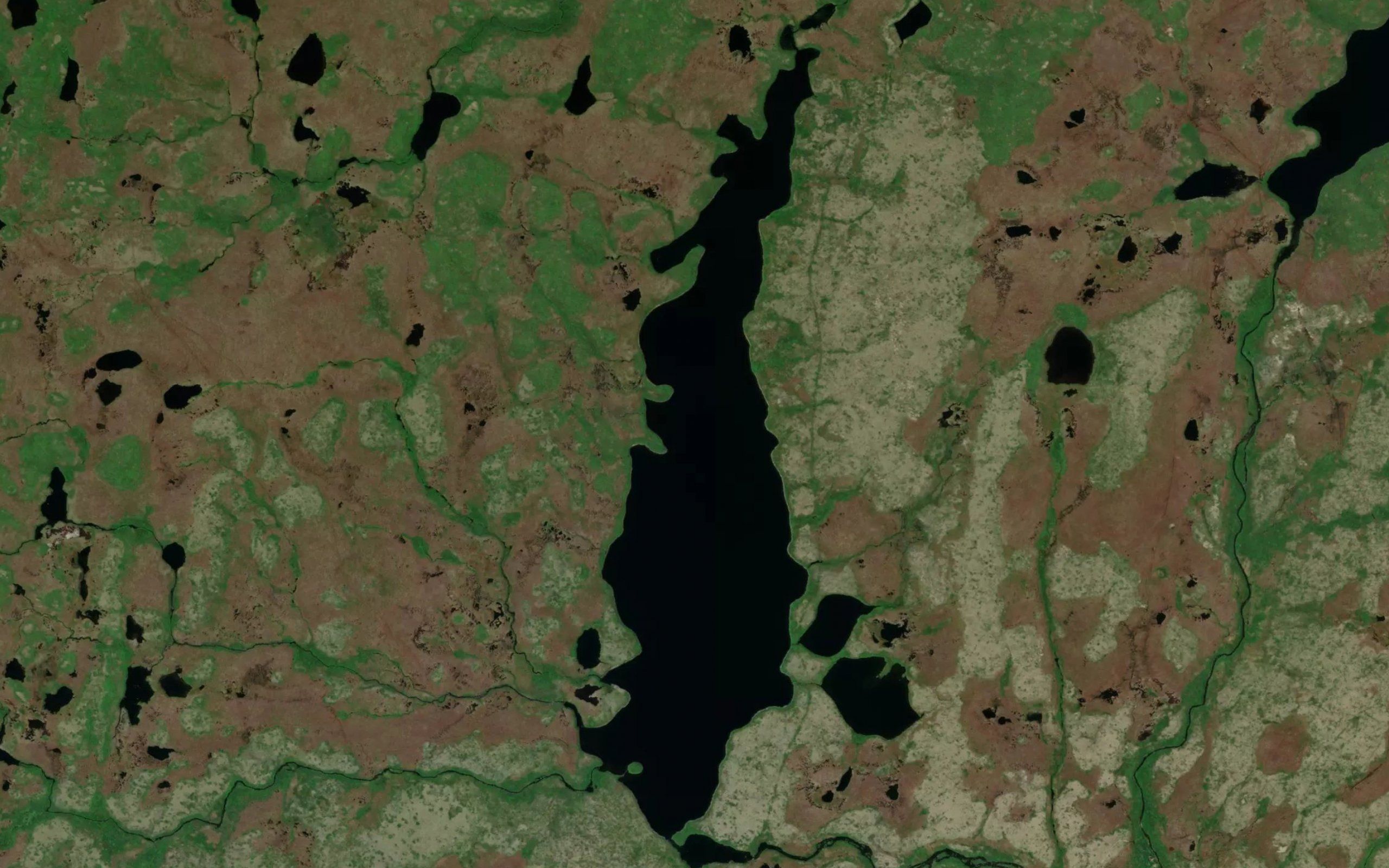 Mount Misery Pond