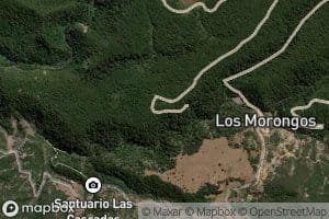 Estero Los Quenes