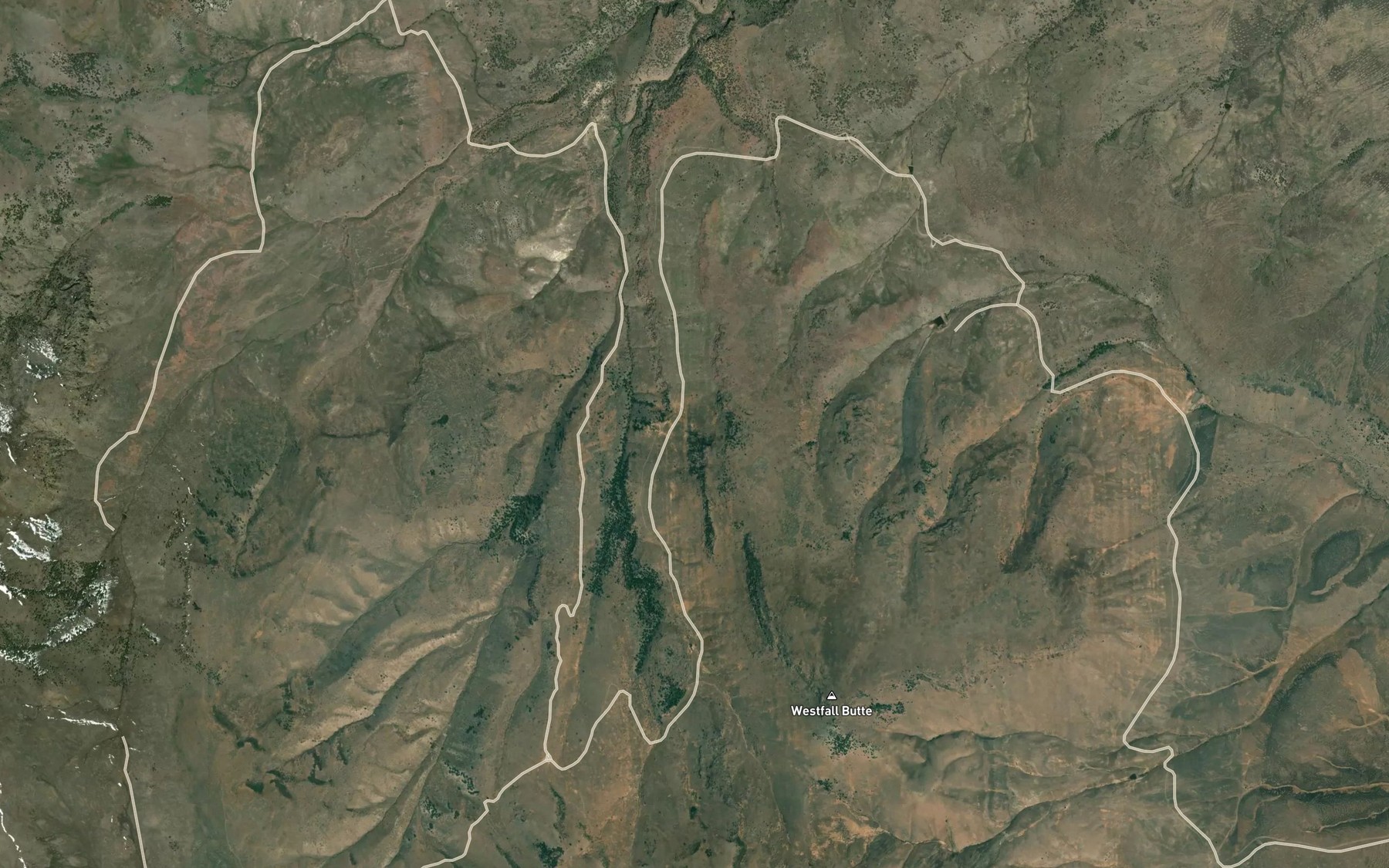 Satellite map of the Buck Spring